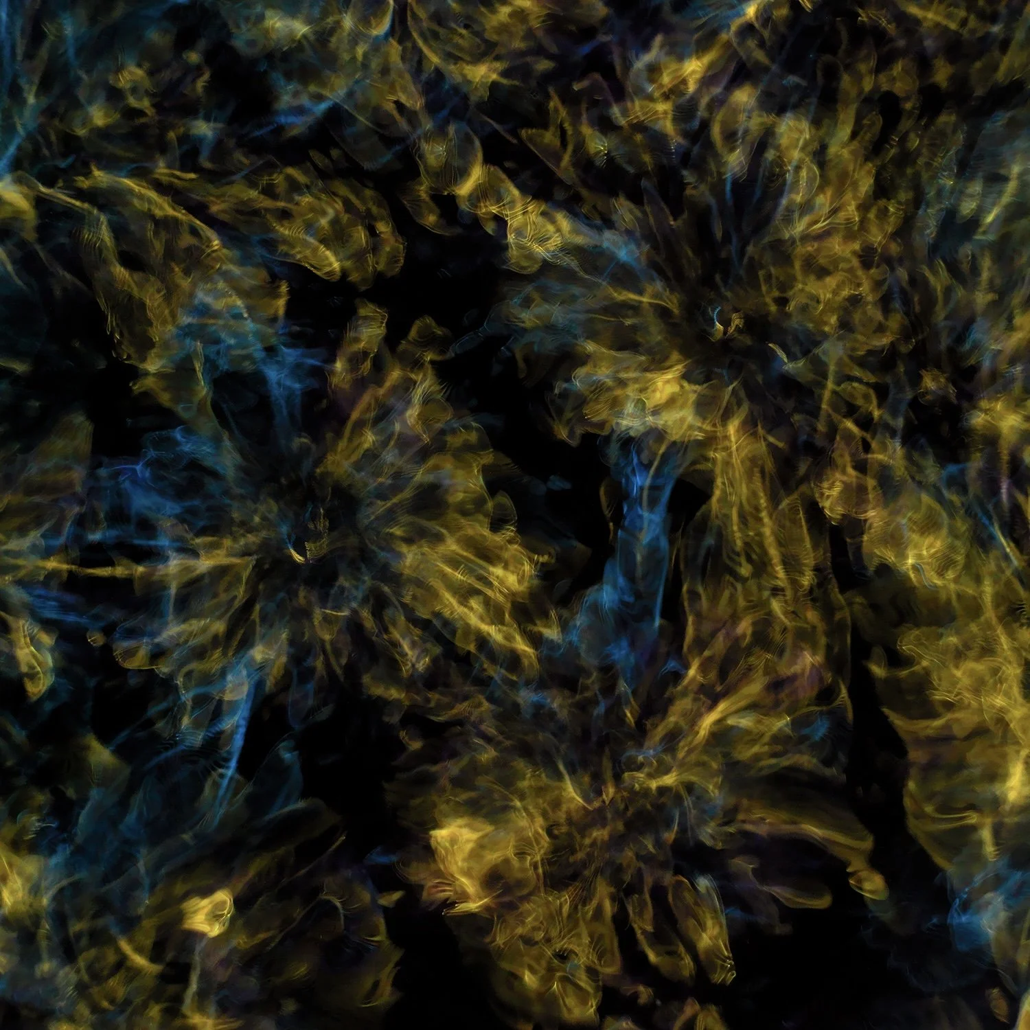 ALEXANDER JAMES HAMILTON: FROM WATER TO THE UNIVERSE