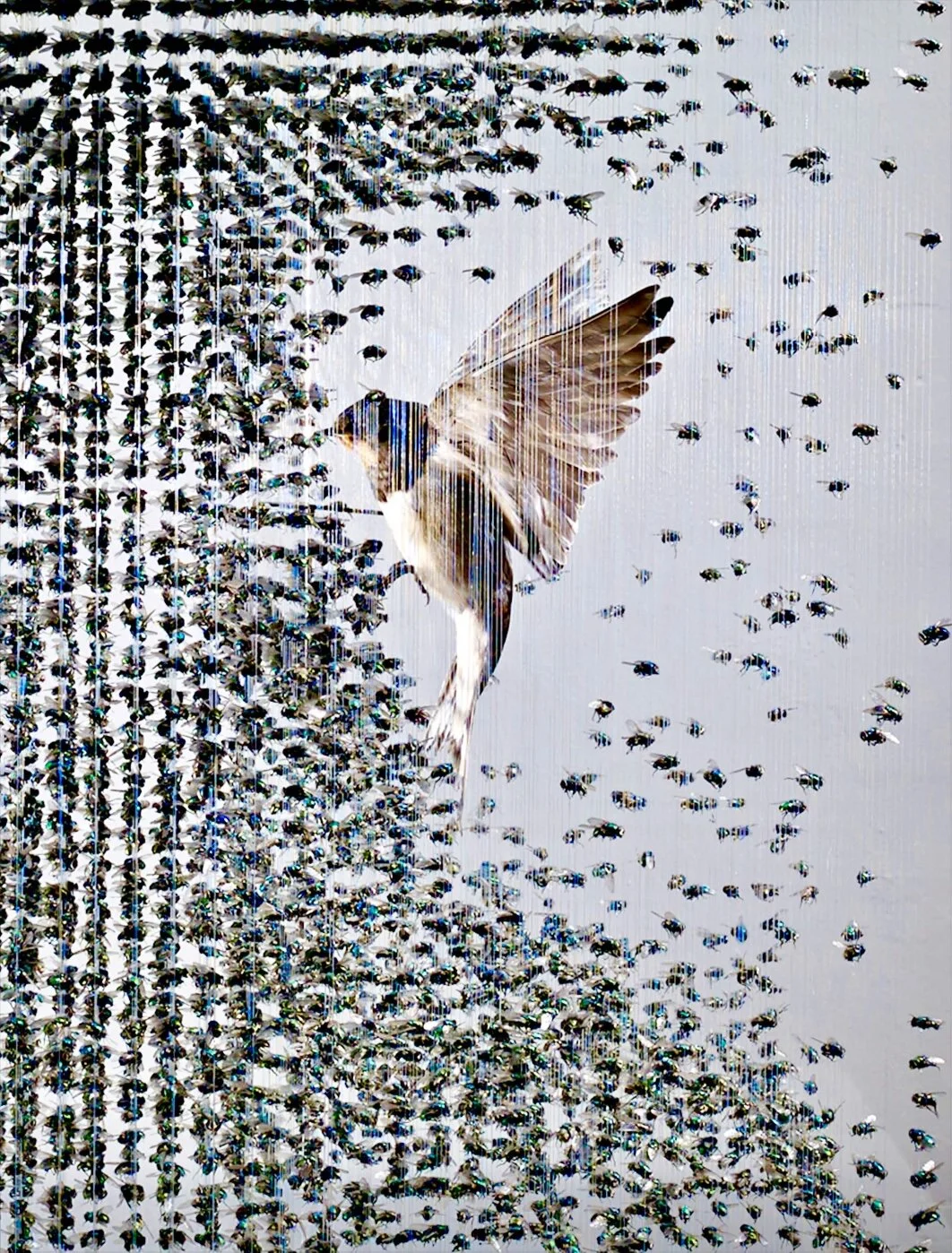 02B714D5-3069-4E39-AF34-5F7355A452B5