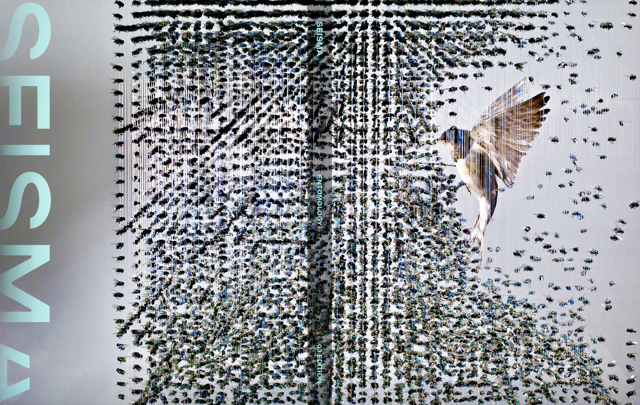 ACF8E277-3494-4584-9D2D-F239F923B2C4