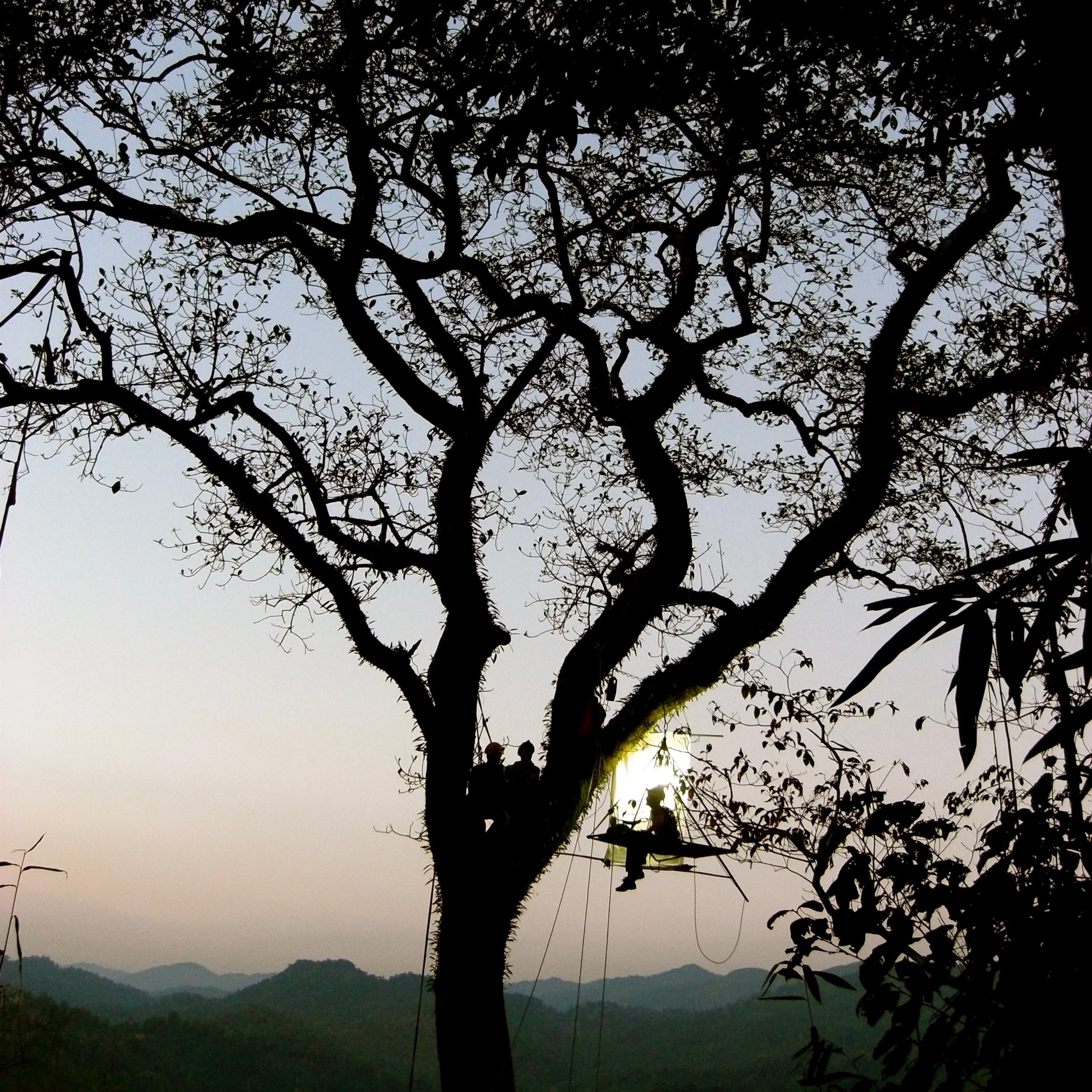 SEISMIC SCIENCE: DR ROSS PIPER