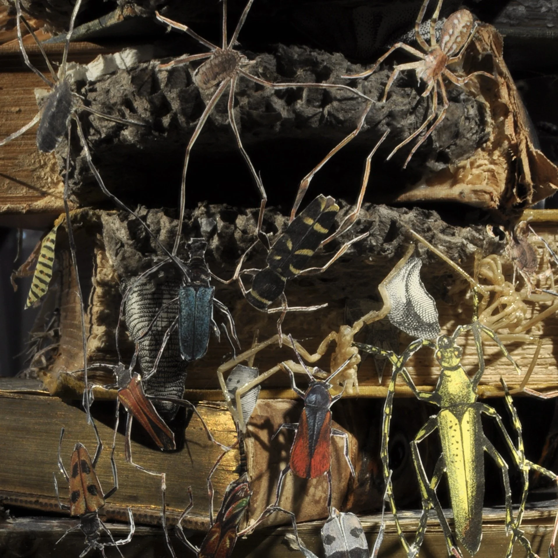 KAFKA, INSECTS, AND DISGUST