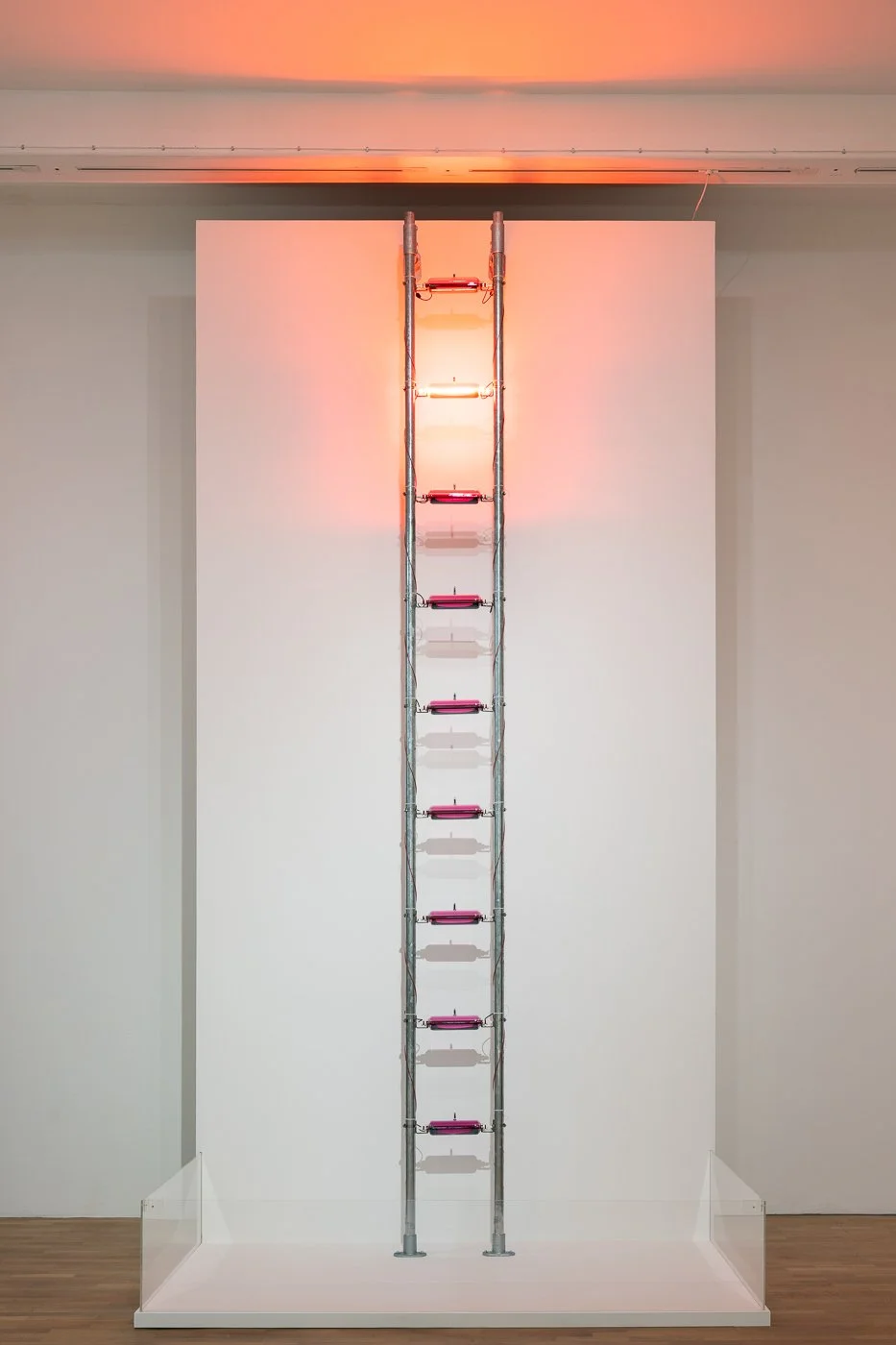 Hamad Butt 'Familiars 1: Substance Sublimation Unit', 1992.  Iodine under vacuum, glass, steel, infrared lamps, timing device, wiring. Display dimensions variable. 