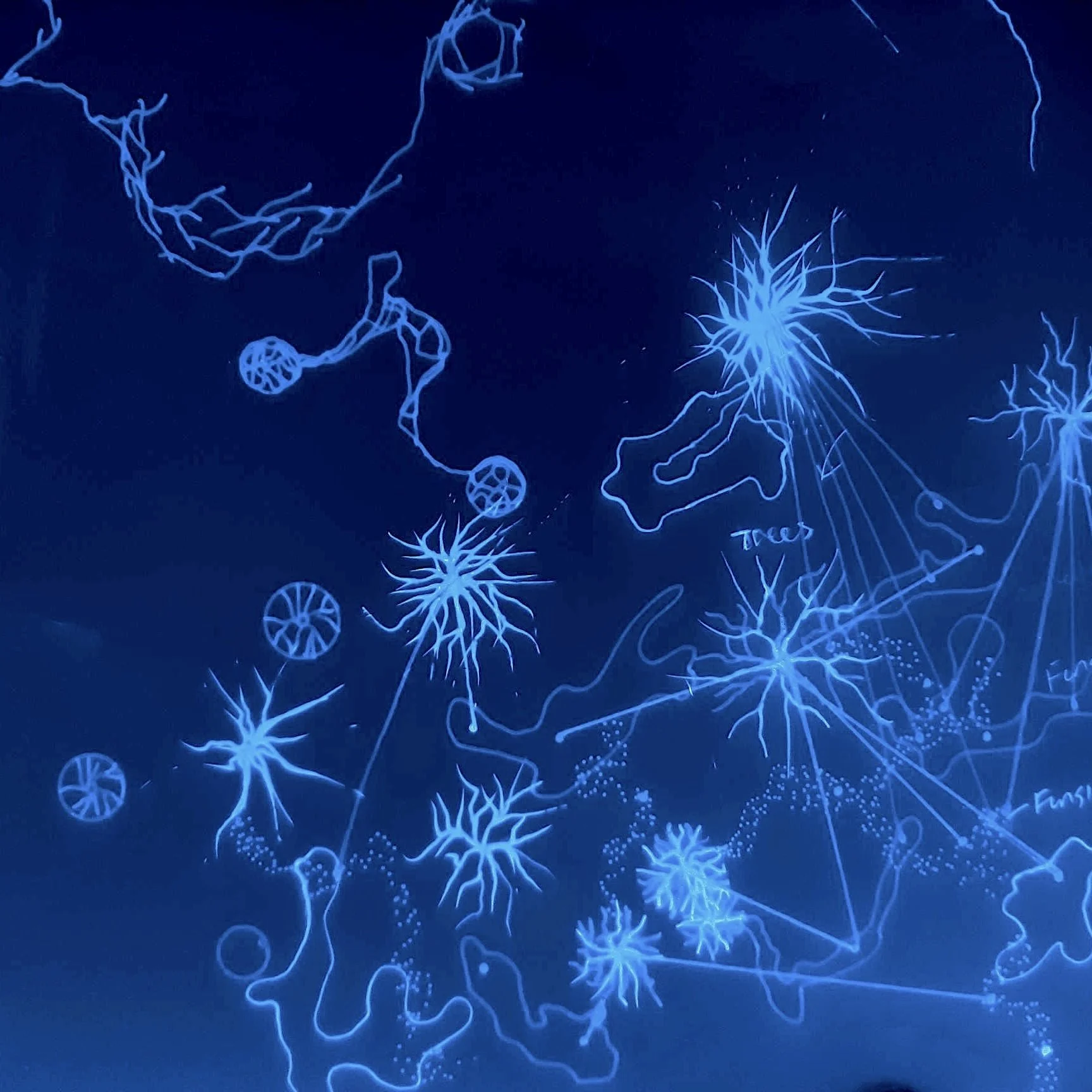 MARY YACOOB: REIMAGINING SCIENTIFIC IMAGERY