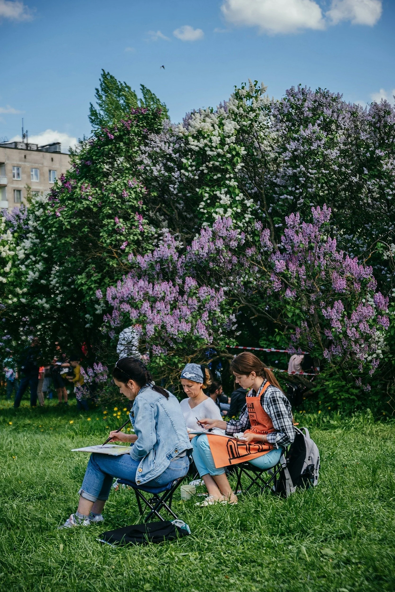 Drie vrouwen zitten in de natuur onder bloeiende bloesembomen, tekenend en schetsend.