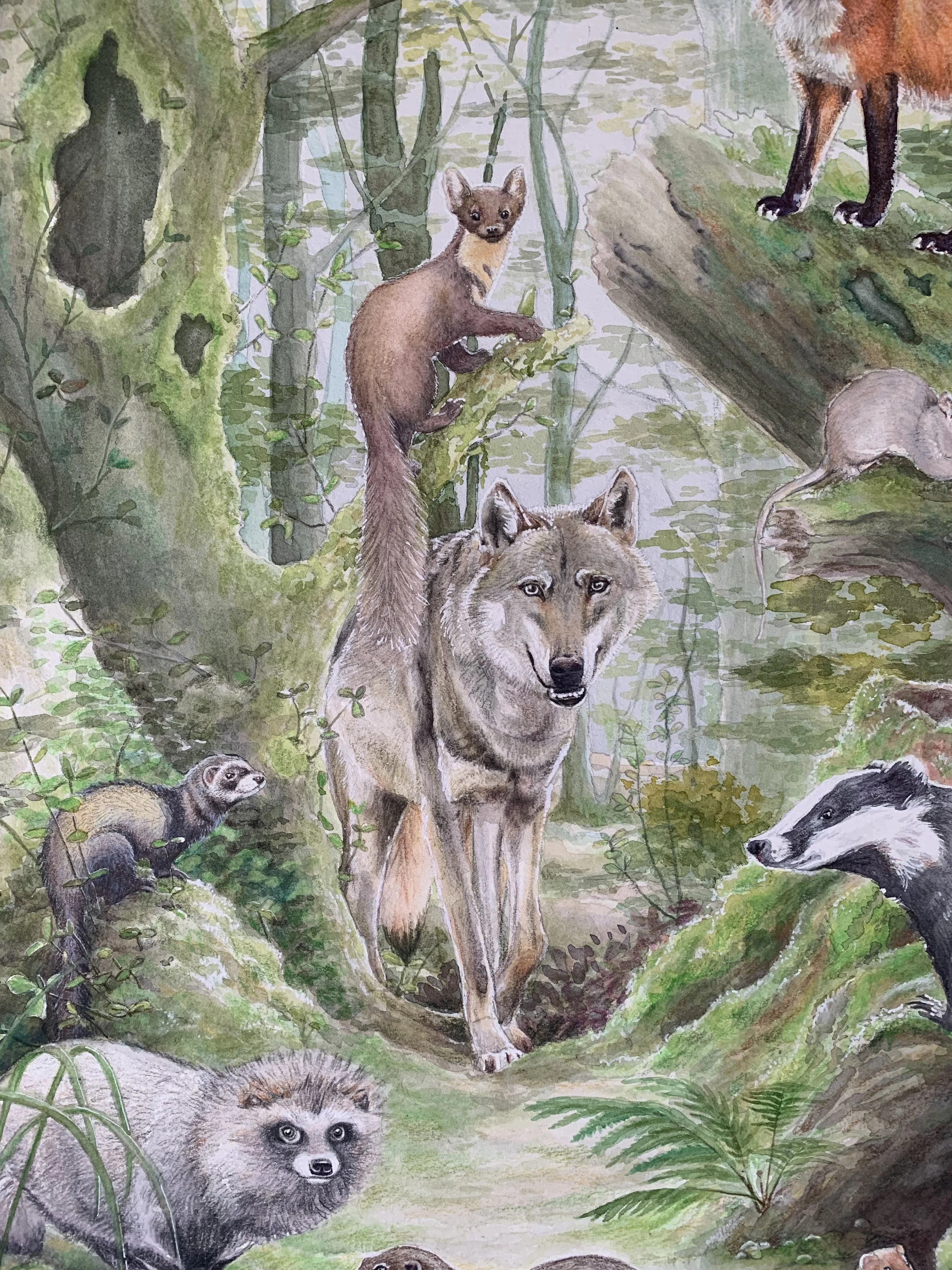 Expo Natuurbegraafplaats Laude