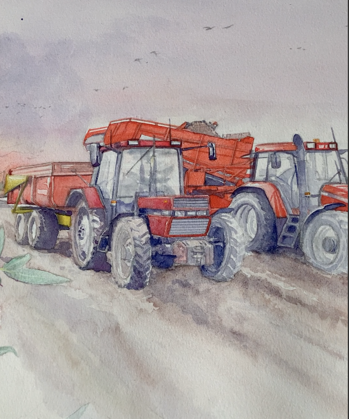 Scherm­afbeelding 2026-06-14 om 07.34.59.png