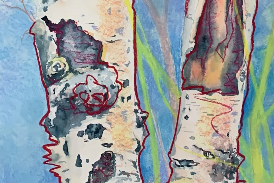 Solo expo - Natuurbegraafplaats Laude