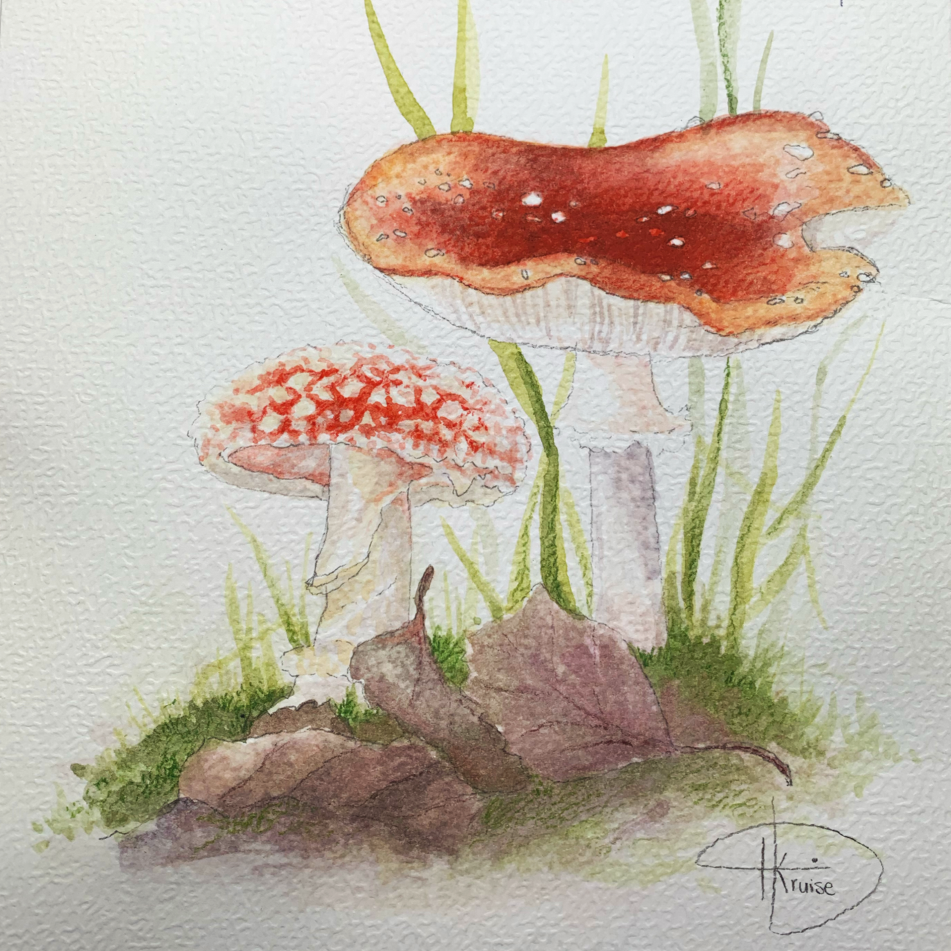 Waterverfschilderij van twee paddenstoelen met groene gras en een paar droge bladeren op de grond.