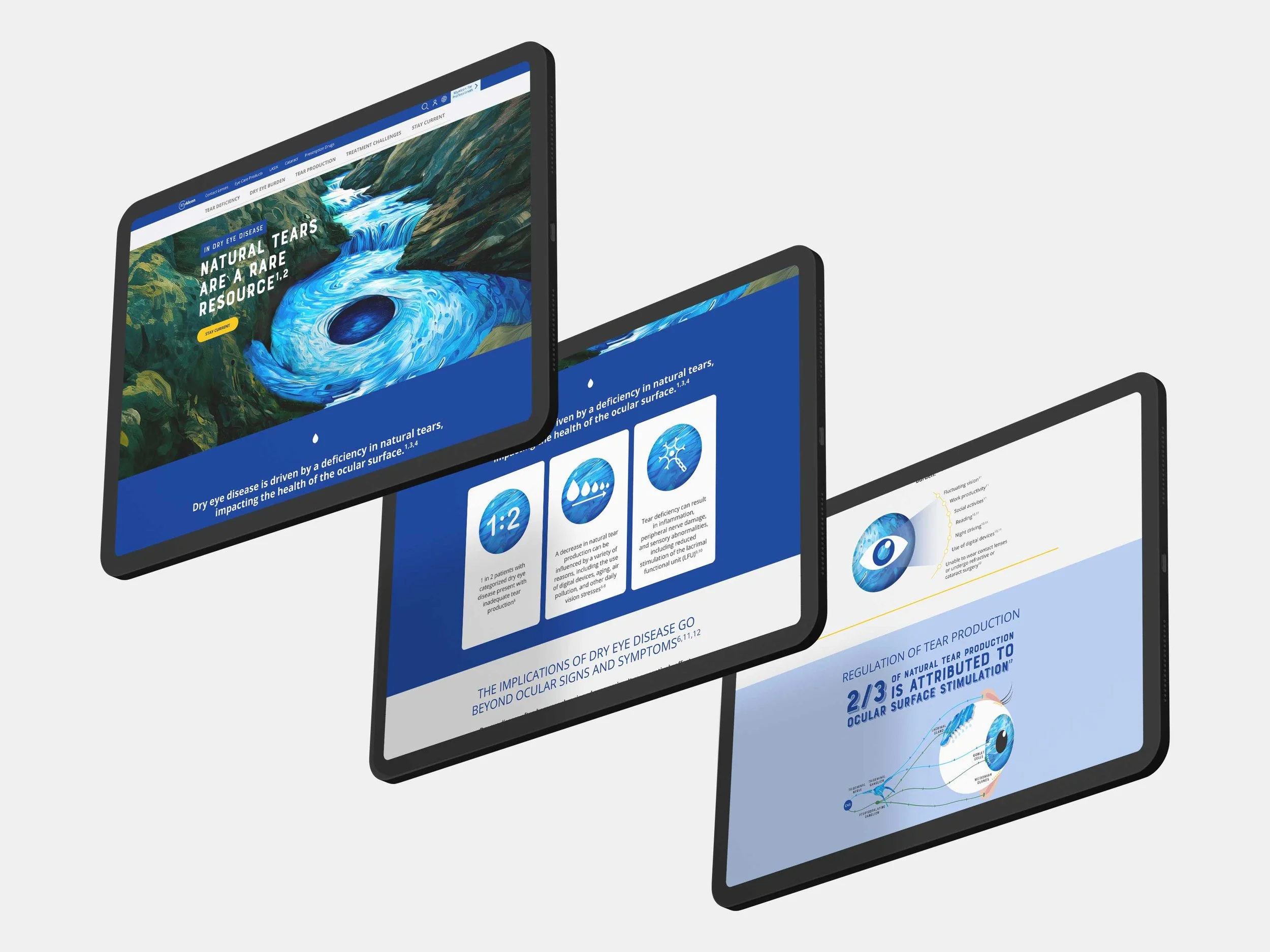 dse-ipad.jpg