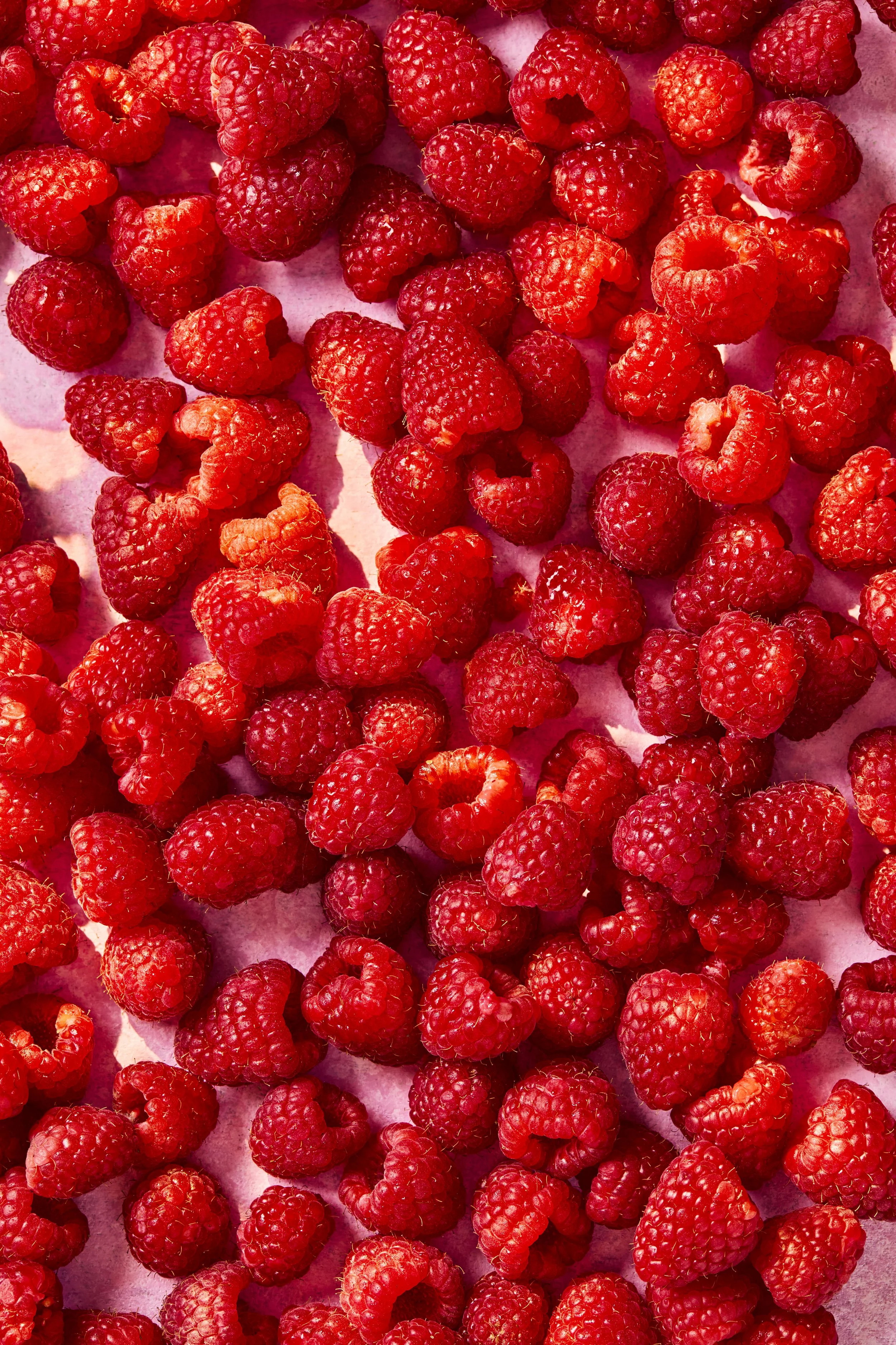 1.Raspberry_OPENER.jpg