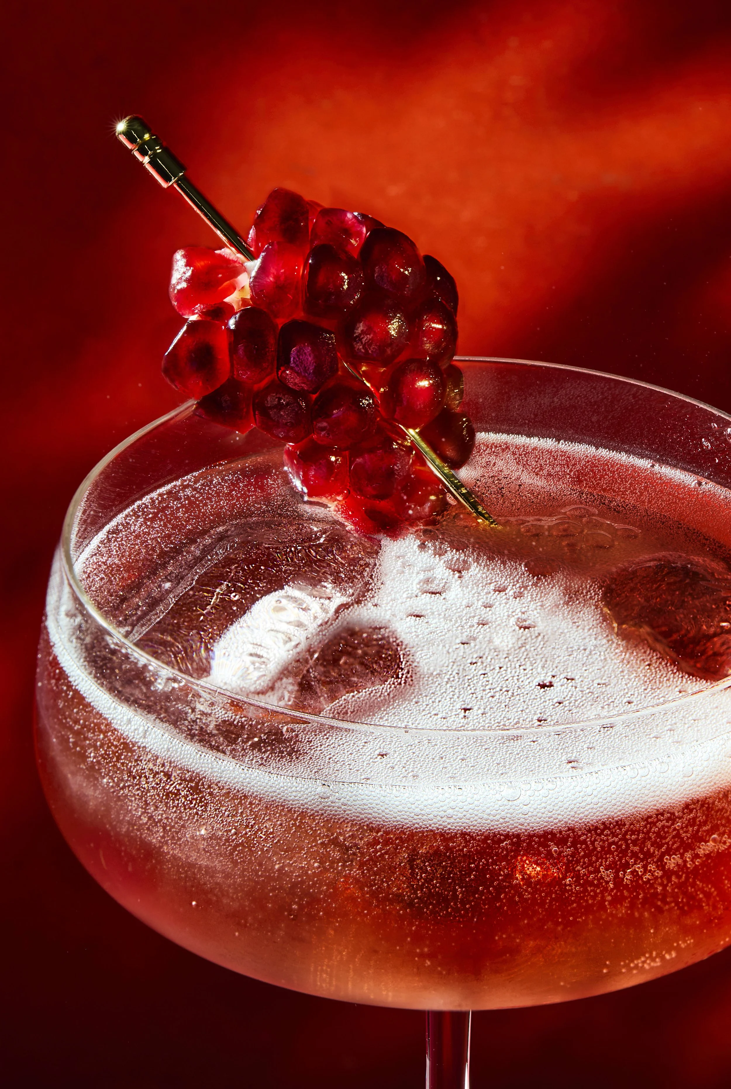 toasttheseason_MACRO CHAMPAGNE GIN COCKTAIL.jpg