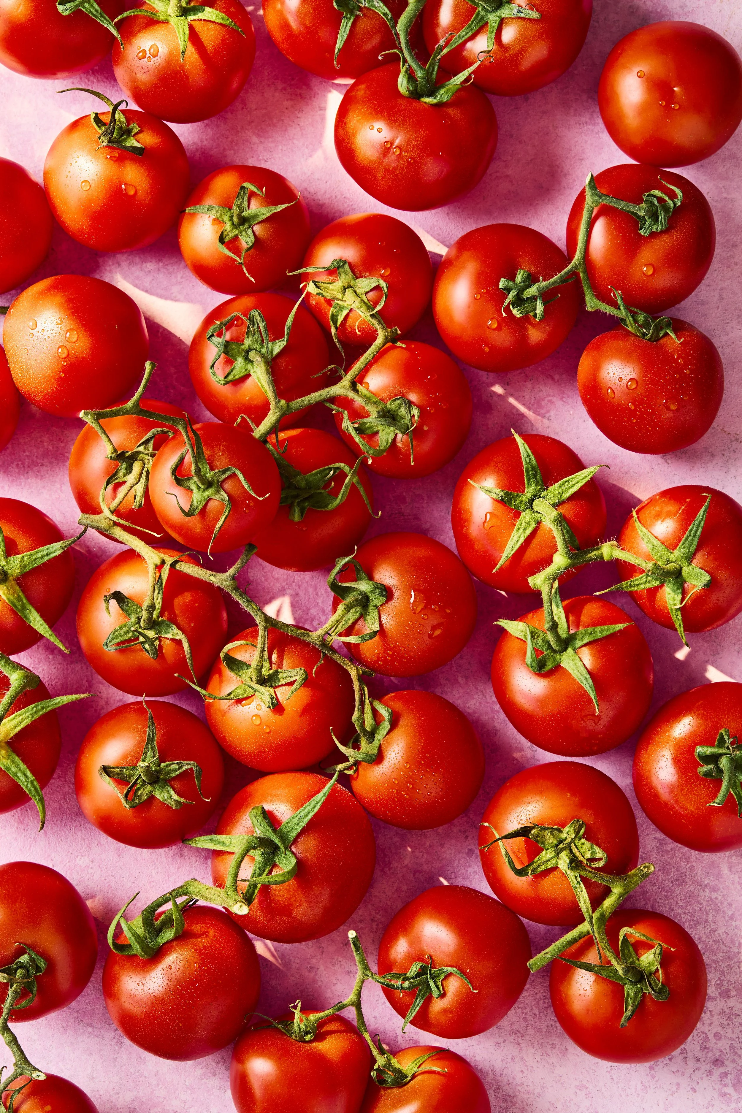 2.Tomato_OPENER.jpg