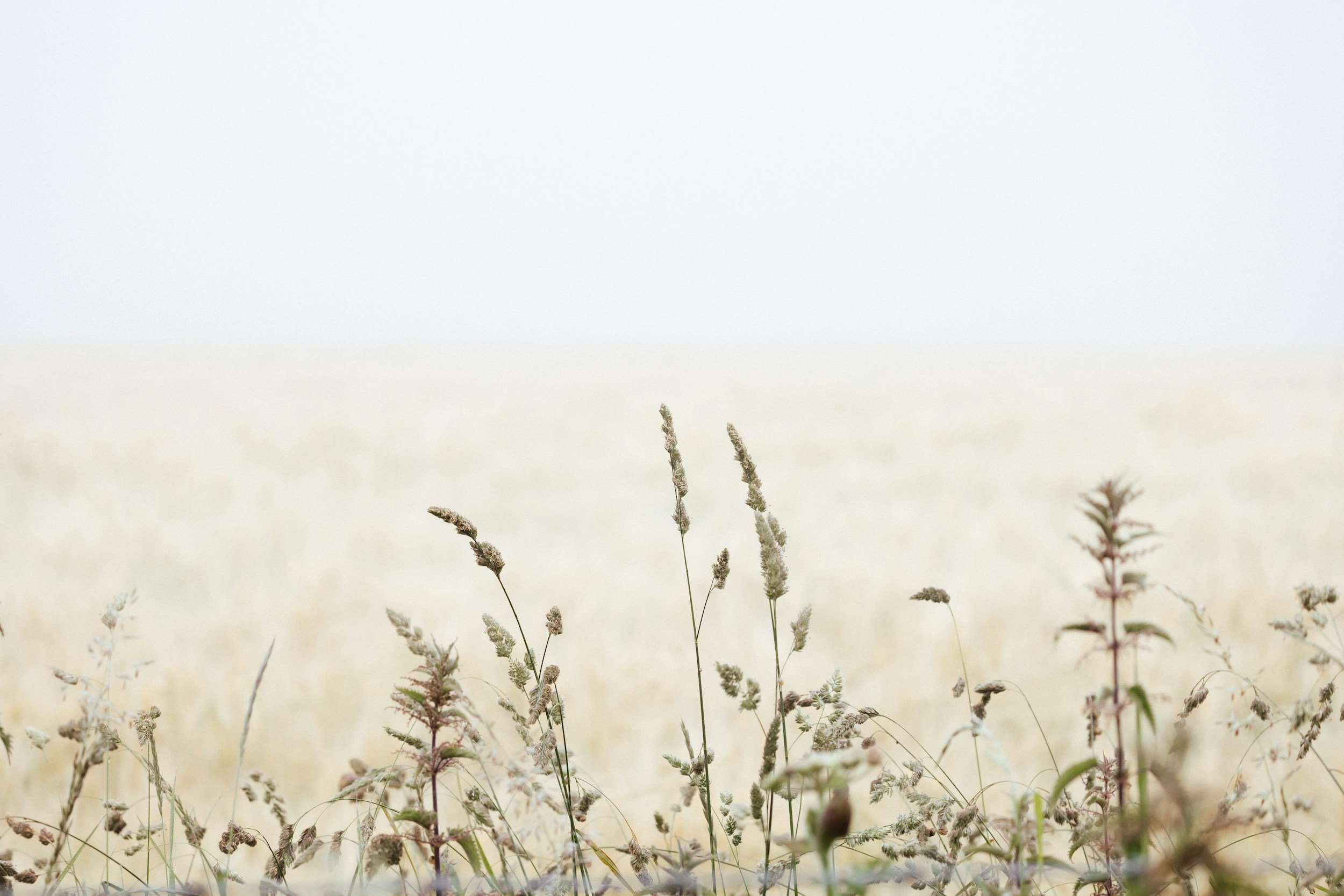 unsplash-image-cEKuw4WF4NE.jpg