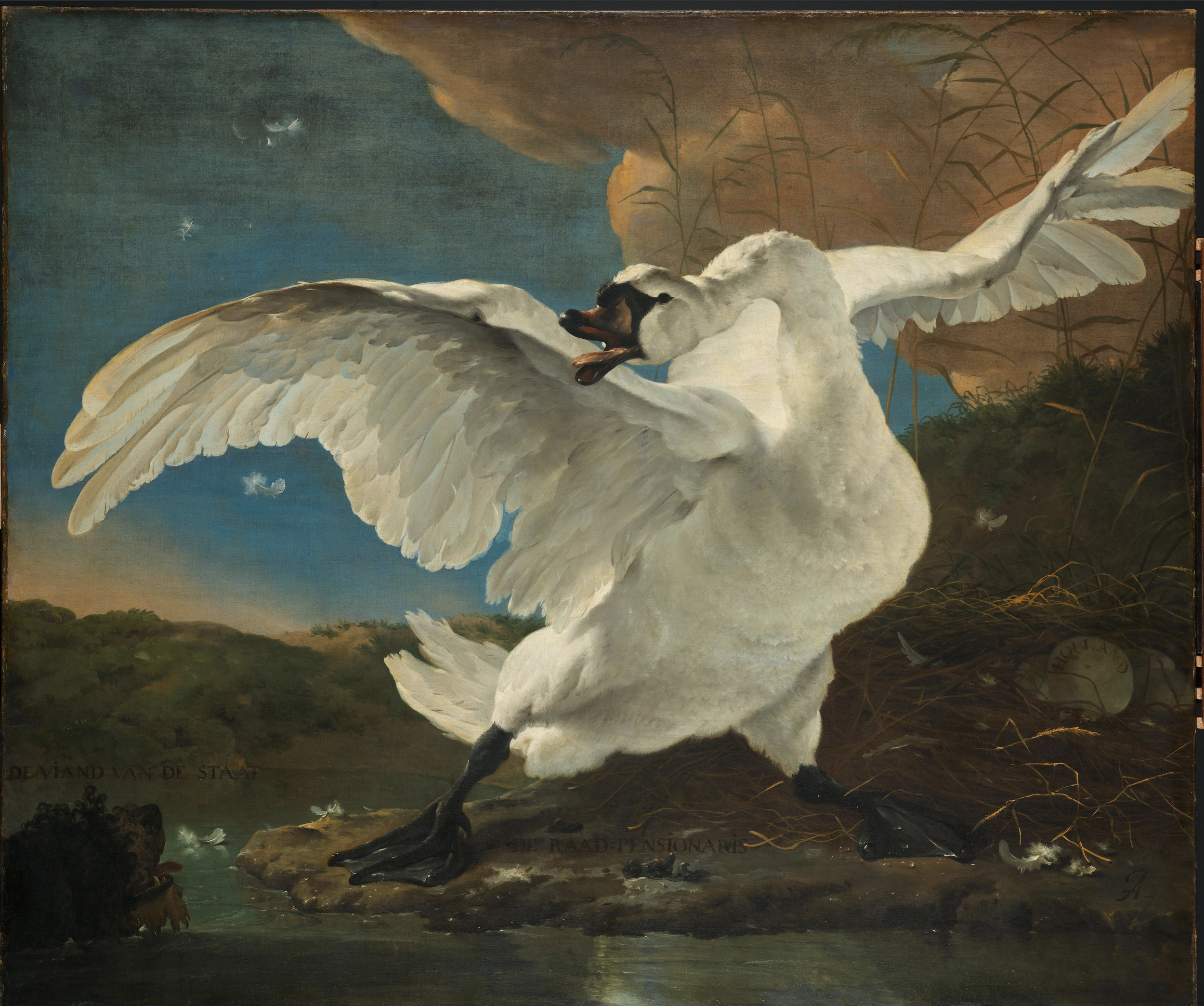 Introductie opdracht