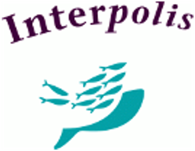 Logo of Interpolis insurance, featuring a stylized blue wave and a flock of small teal birds.