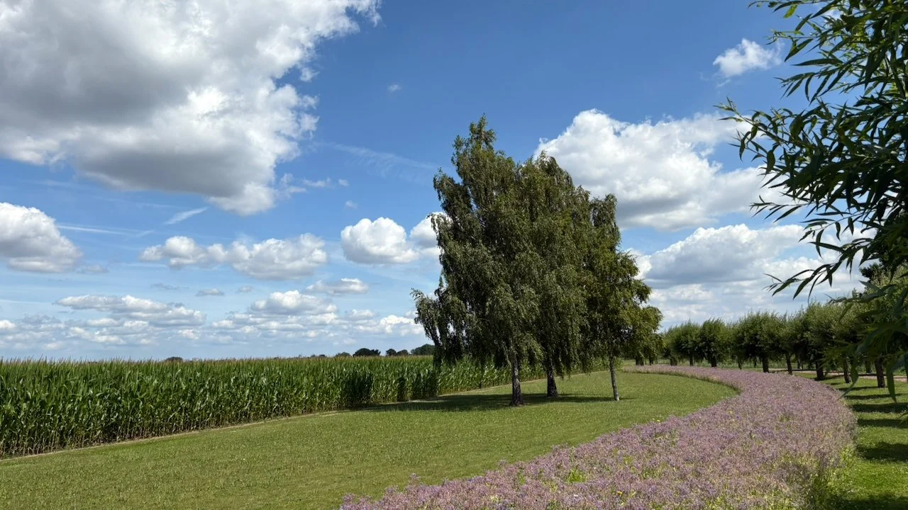 Van kelders en kerken tot Service Evolution