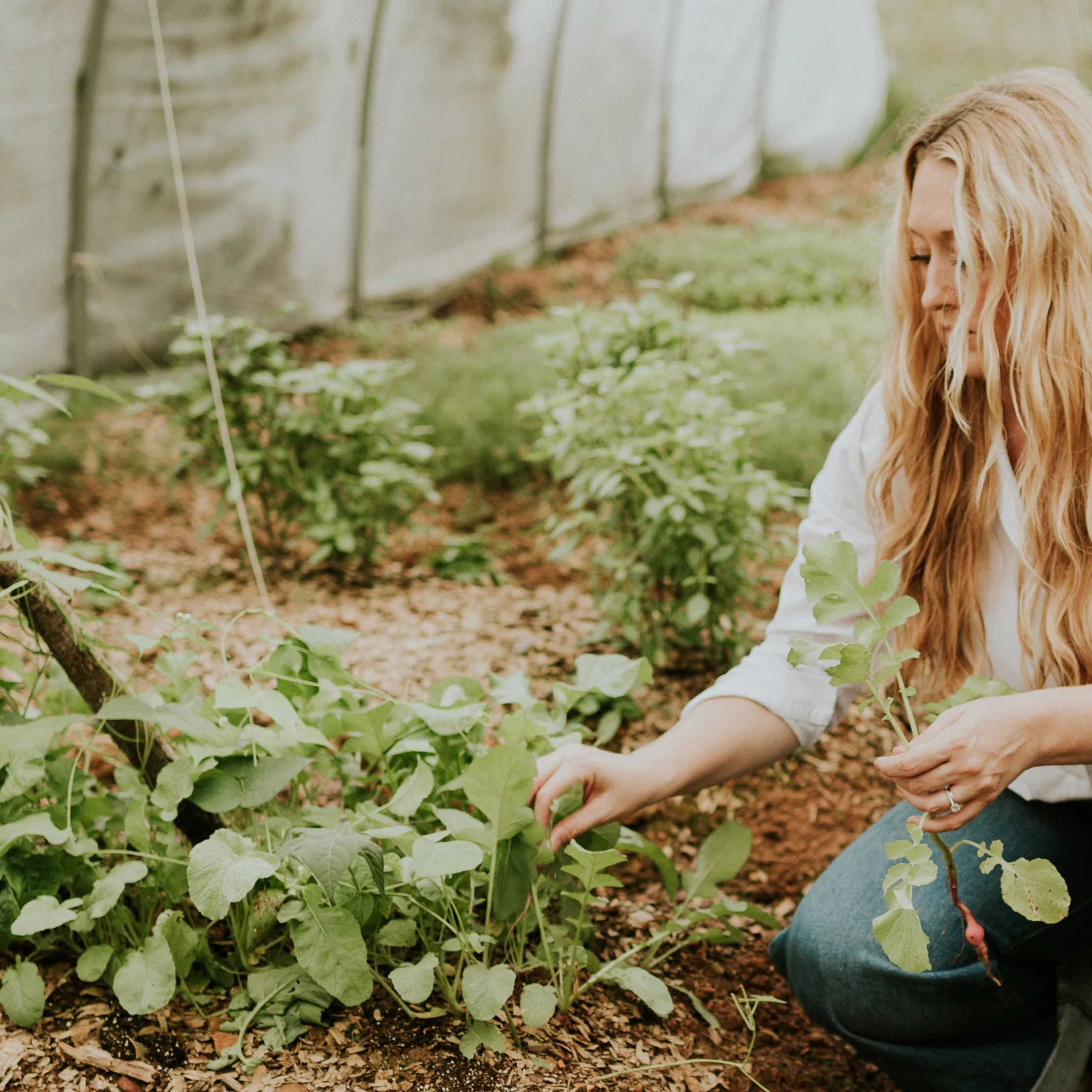 Behind The Product: The story of Fullbloom Botanicals