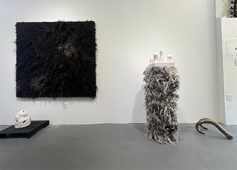 Metaphors of Transformation: Varadi and Fulop at Kapow Gallery