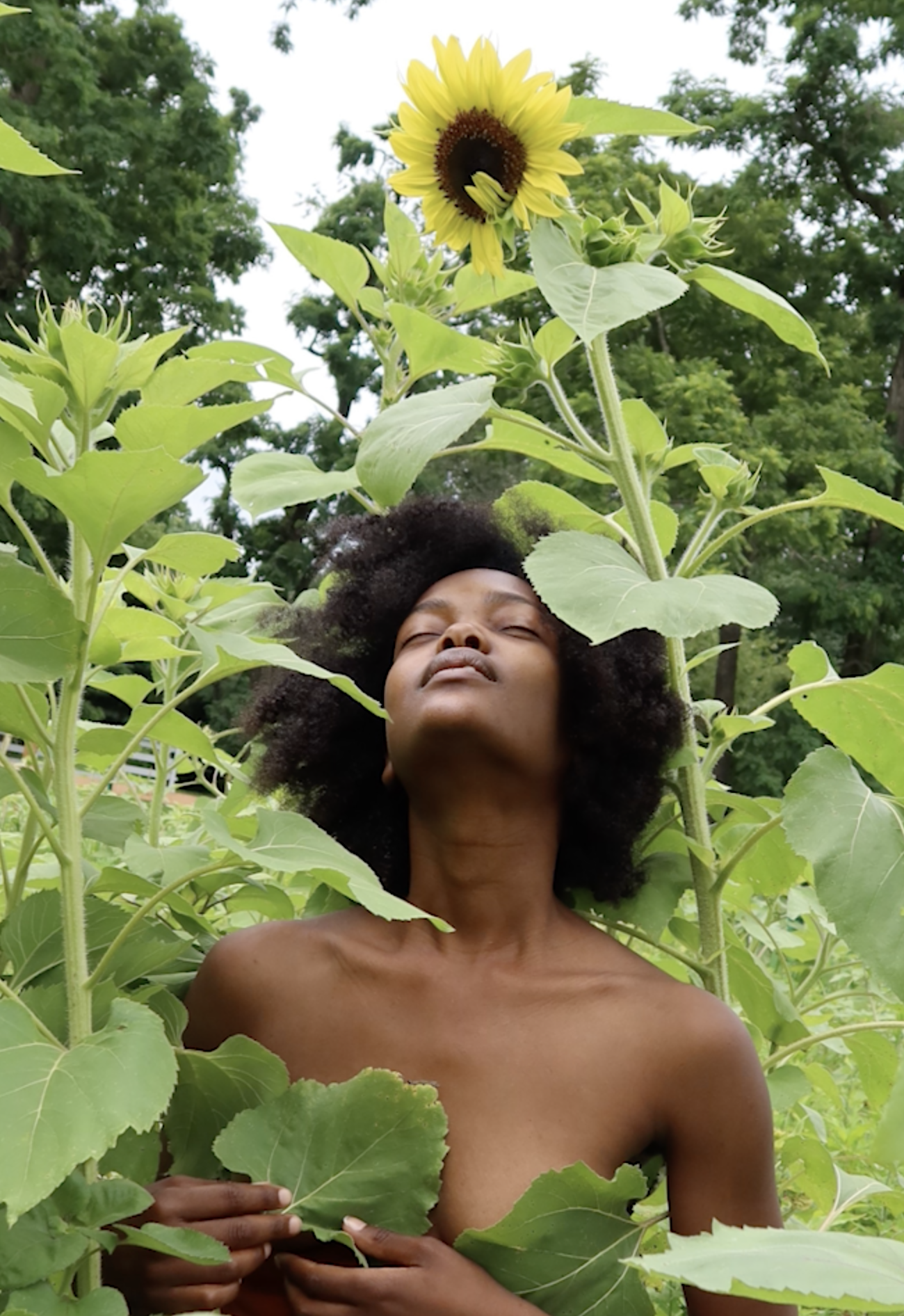 Screen Shot 2022-09-25 at 5.11.36 PM.png