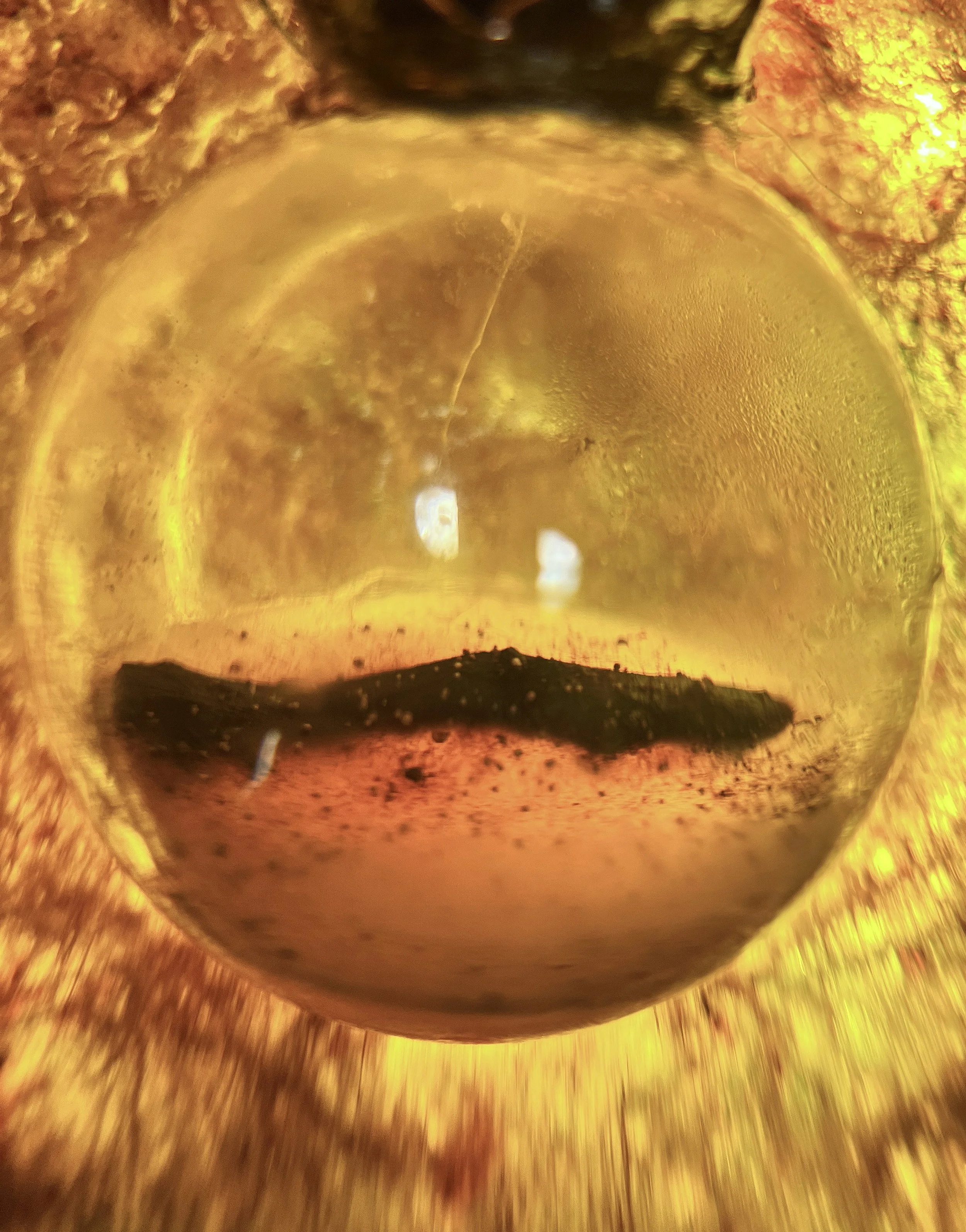BARK_FOAM_3_BUBBLE.jpg
