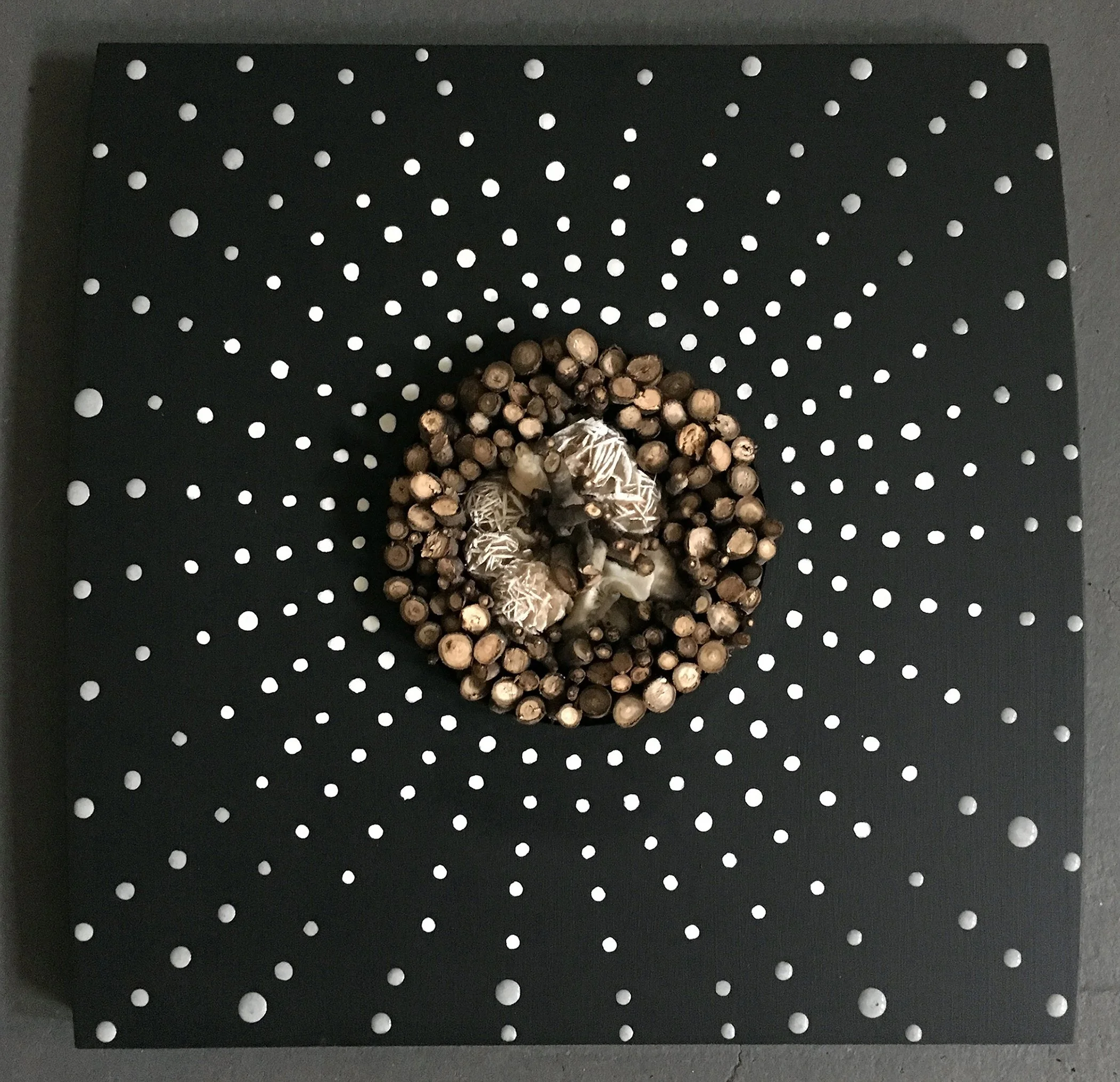 6. Pritzker_ShamanCircle11.jpg