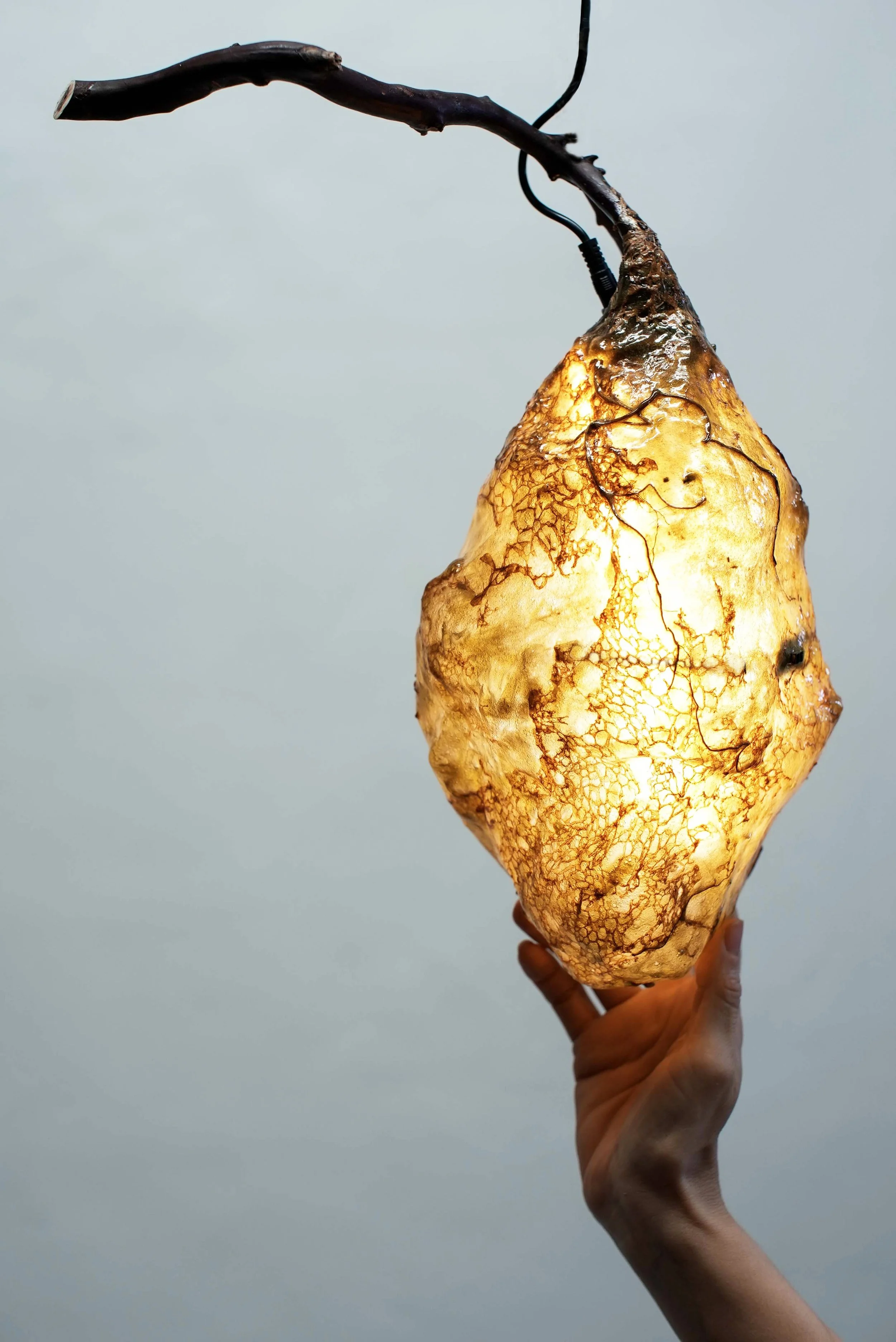 HIVE_II_3_A.jpg
