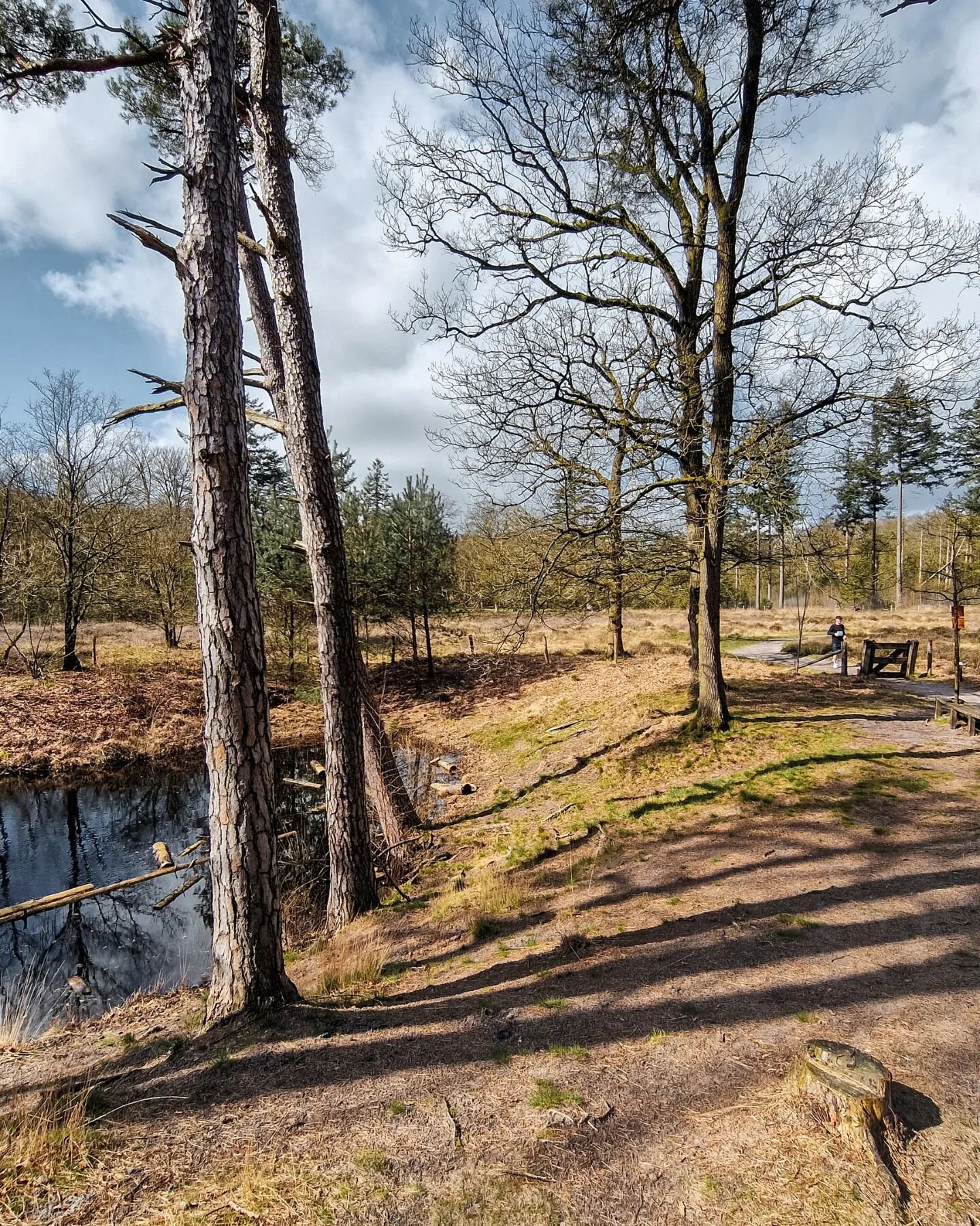 About last weekend, Lage Vuursche trail!⁠
⁠
⁠
#lagevuursche #trailrunning ⁠
#natuurinnederland⁠ #appreciatenature