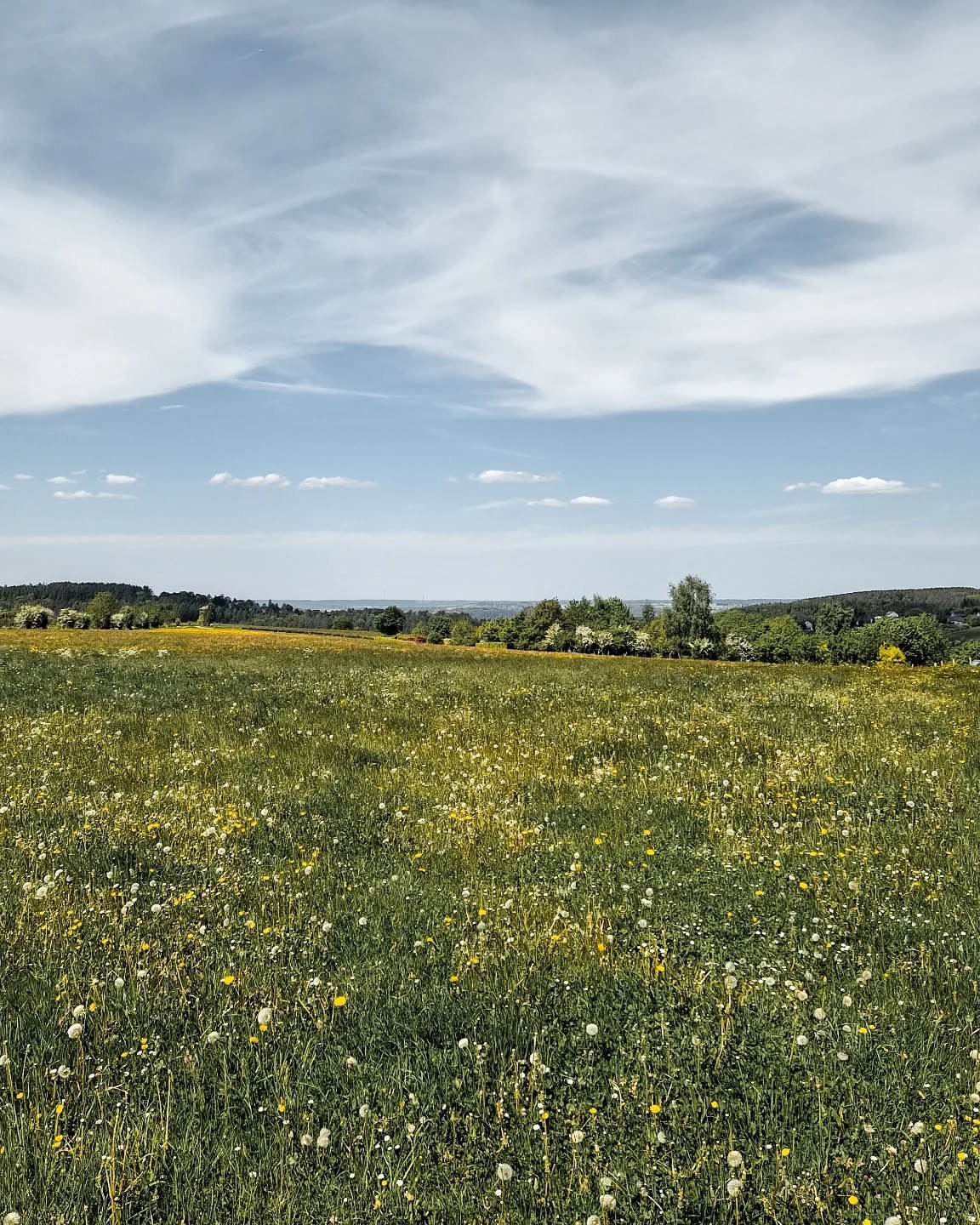 Have a good weekend!⁠
⁠
⁠
⁠
⁠
⁠#inspirationbynature⁠ ⁠#naturevibes #ardennes #beautifulplaces #magnificent #colorsofnature