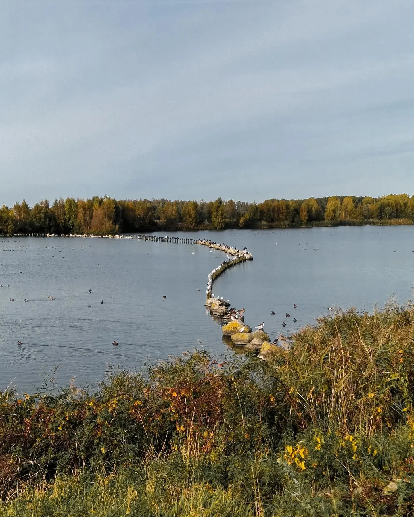 Inspiratie vind ik vaak buiten, in de rust, de kleuren en de vormen van de natuur.
#inspirationbynature #naturevibes #coloursofnature