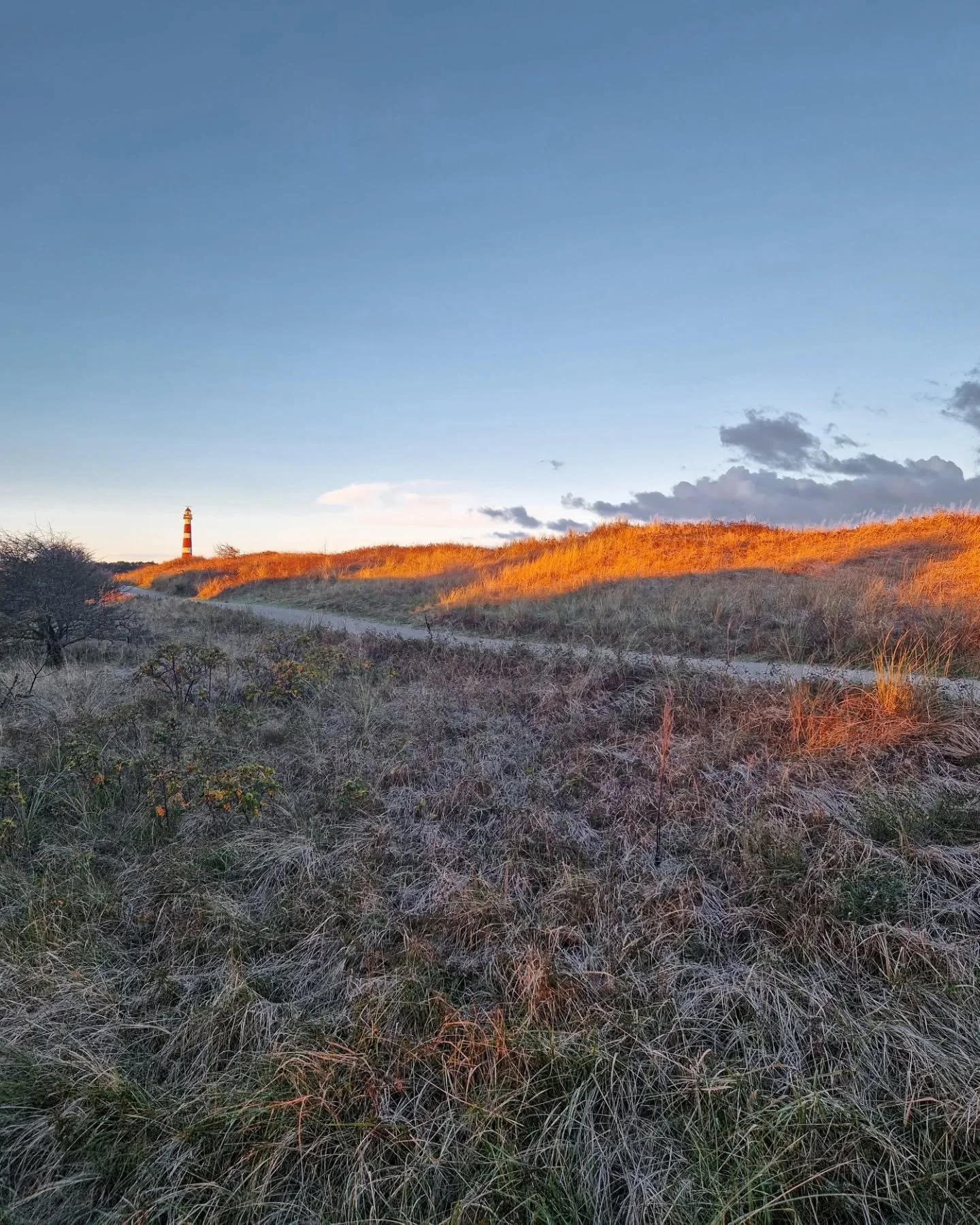 Terug van een midweekje naar Ameland. Heerlijk wandelen door mooie landschappen, op pad met de mountainbike, lekker hardlopen en ontspannen met bordspelletjes.⁠
⁠
⁠
⁠
#slowdown #naturebreak #ameland #unplugandrecharge