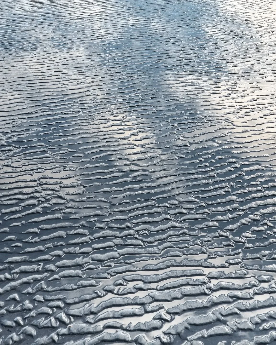 Natuurlijke patronen, geschilderd door wind en water 🌊⁠
⁠
⁠
⁠
⁠
#reflecties #natuurpatronen #kustleven #wadden #ameland