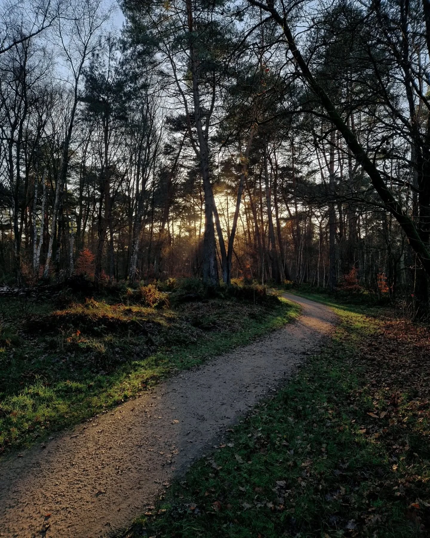 Hele fijne feestdagen en een goed 2026!⁠
⁠
⁠
