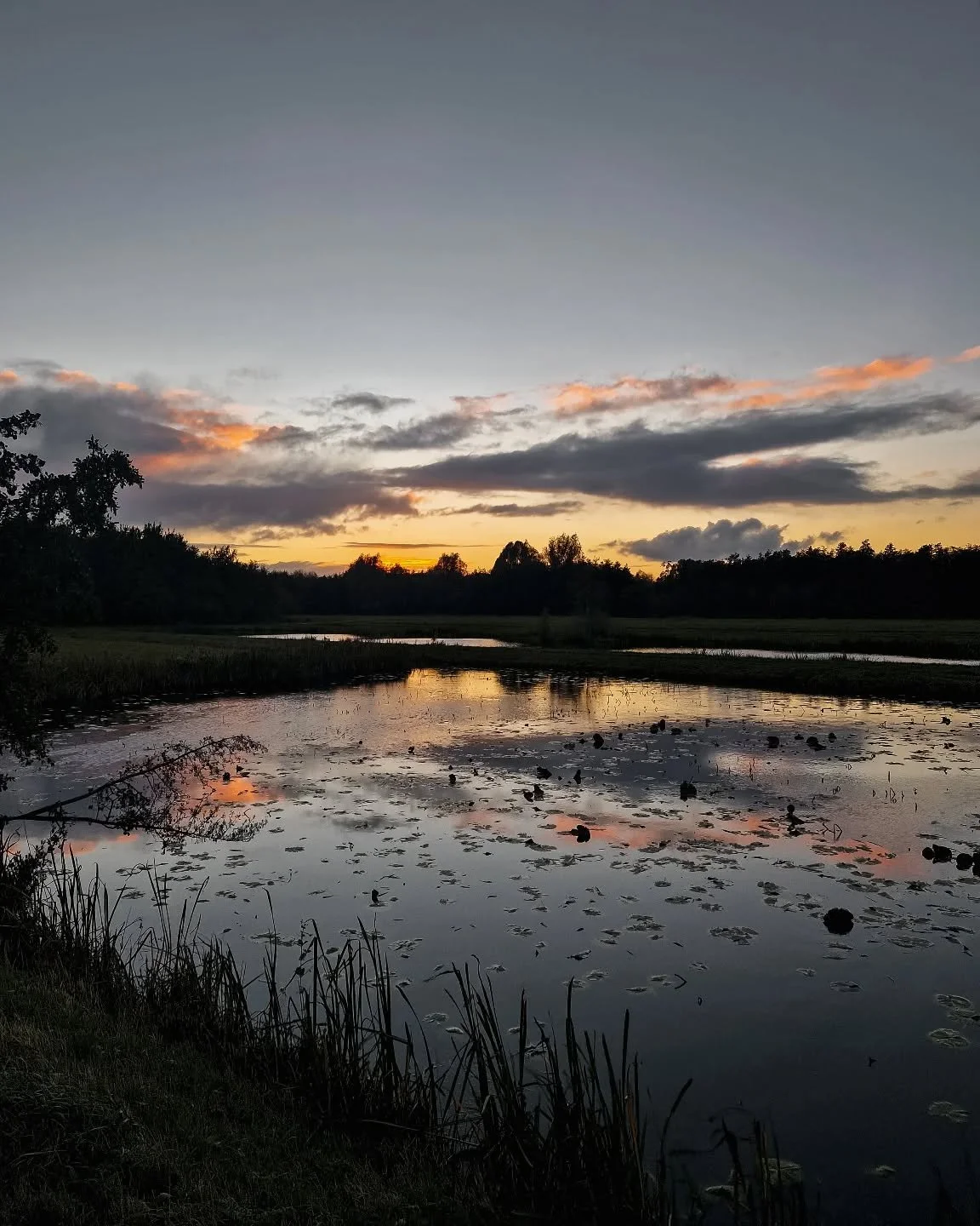 Gewoon een mooi plaatje, waarom, omdat ik er blij van wordt en even geen beter caption wist😅🤣⁠
⁠
⁠
⁠
#colorsofnature #natuurinnederland #zonsondergang