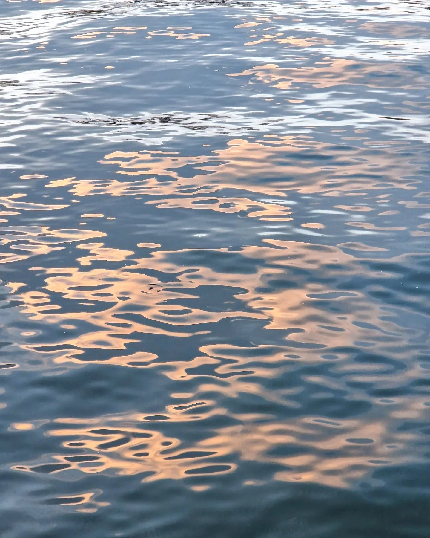 Een heel fijn weekend!⁠
⁠
⁠
⁠
⁠
#colorsofnature #natuuralsinspiratie #natuurinnederland