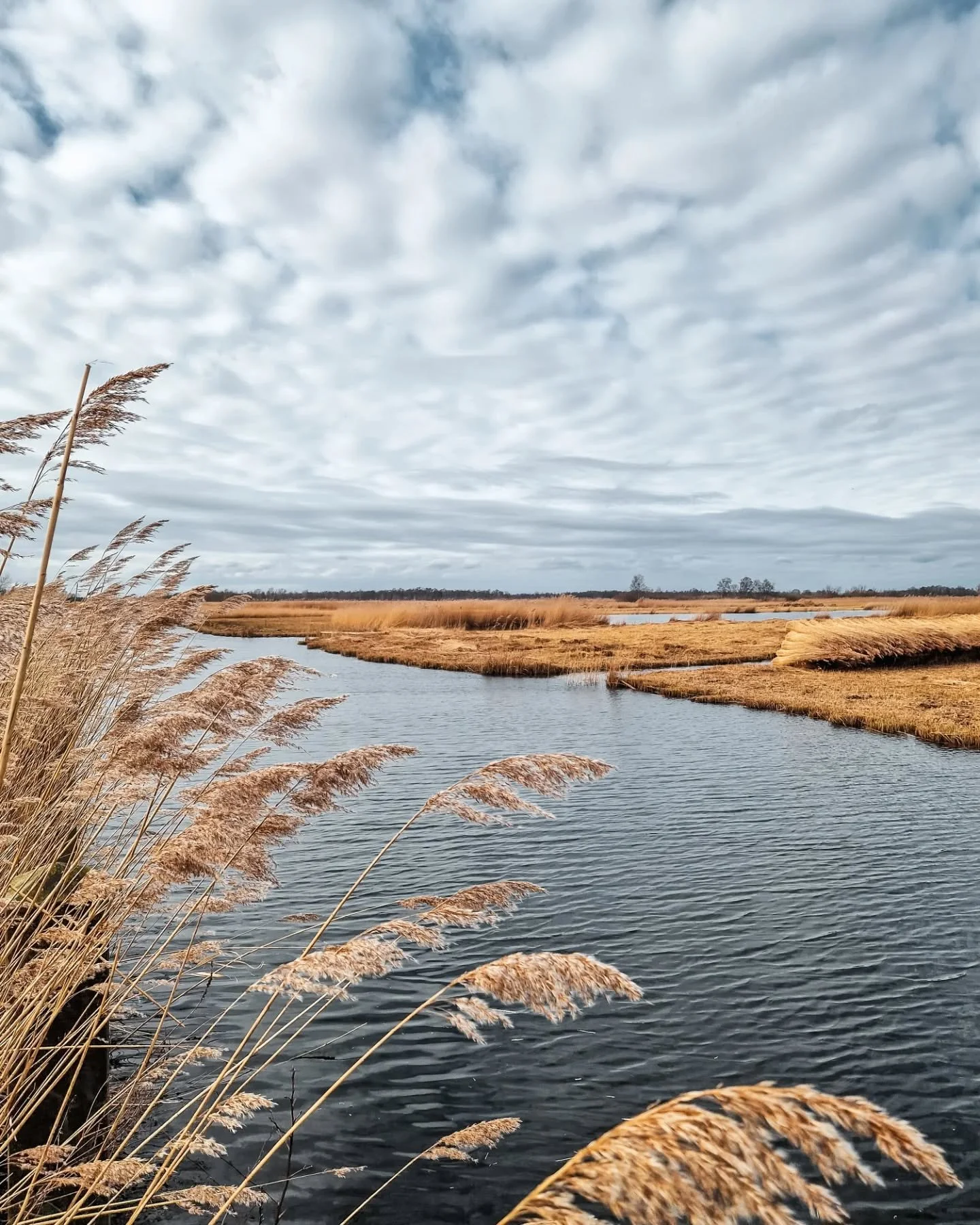 Een heel goed weekend!

#naturevibes #natuuralsinspiratie #slowdown