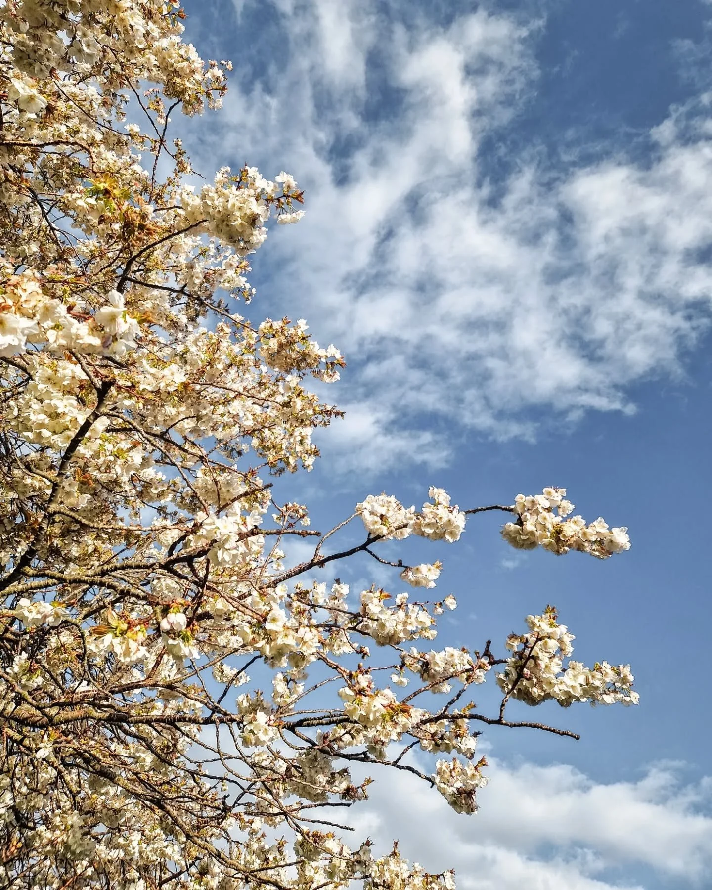 Een heel goed weekend!⁠
⁠

⁠
#naturevibes #natuuralsinspiratie #slowdown