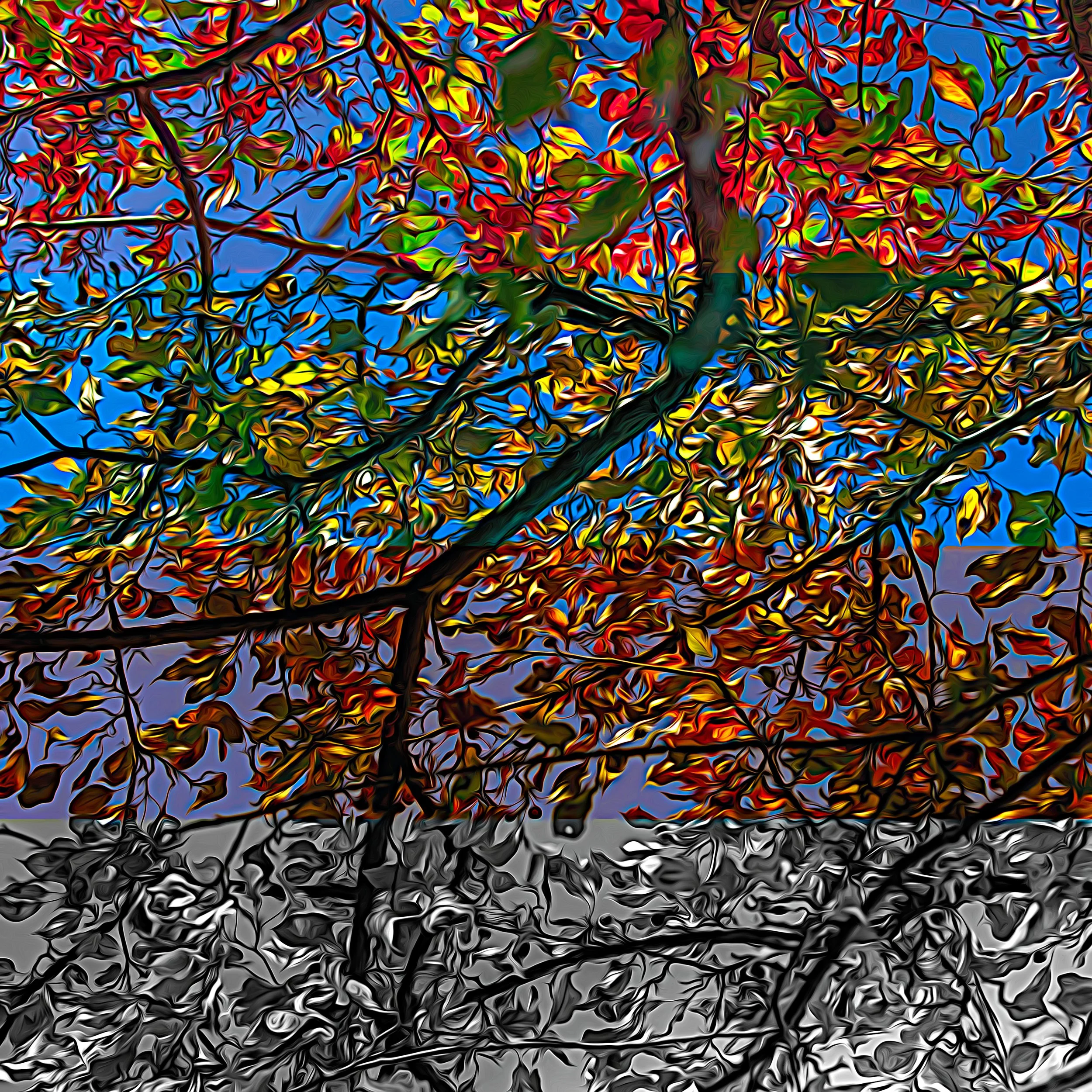 "SEASONALS" COVER ART PHOTO