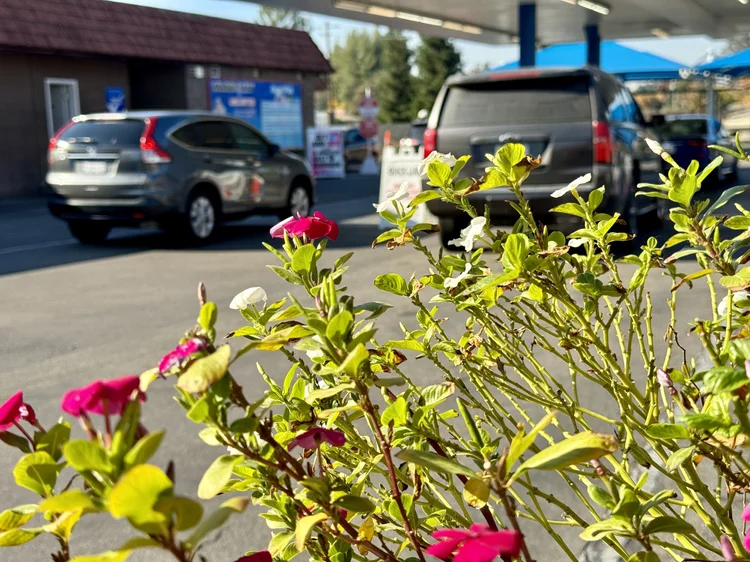 Red Carpet Car Wash Near Me