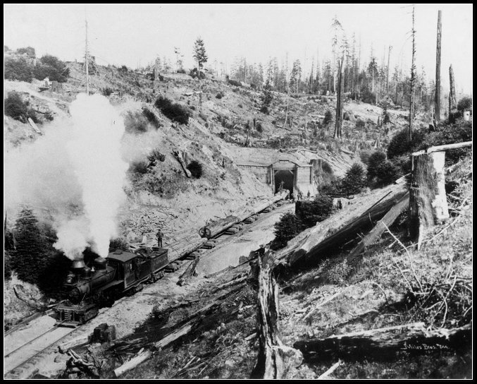 The devastated Caspar hills in the early 20th Century—from the Kelley House Museum archives