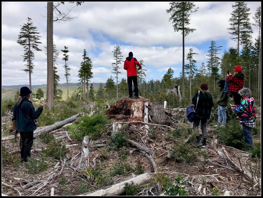 Priscilla’s son, Coyote Valley Band Chairman Michael Hunter surveys a 2018 clearcut—photo by Chad Swimmer