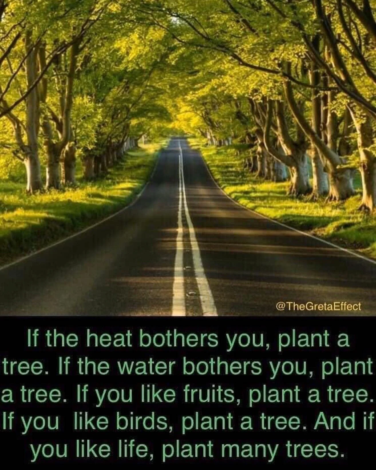 We hope you get a chance to #optoutdoors this #MemorialDayWeekend! 🇺🇸♥️💙
The Mendocino Trail Stewards wish you a safe and happy holiday weekend. As always, we encourage those who are spending time in wild places this weekend to #leavenotra