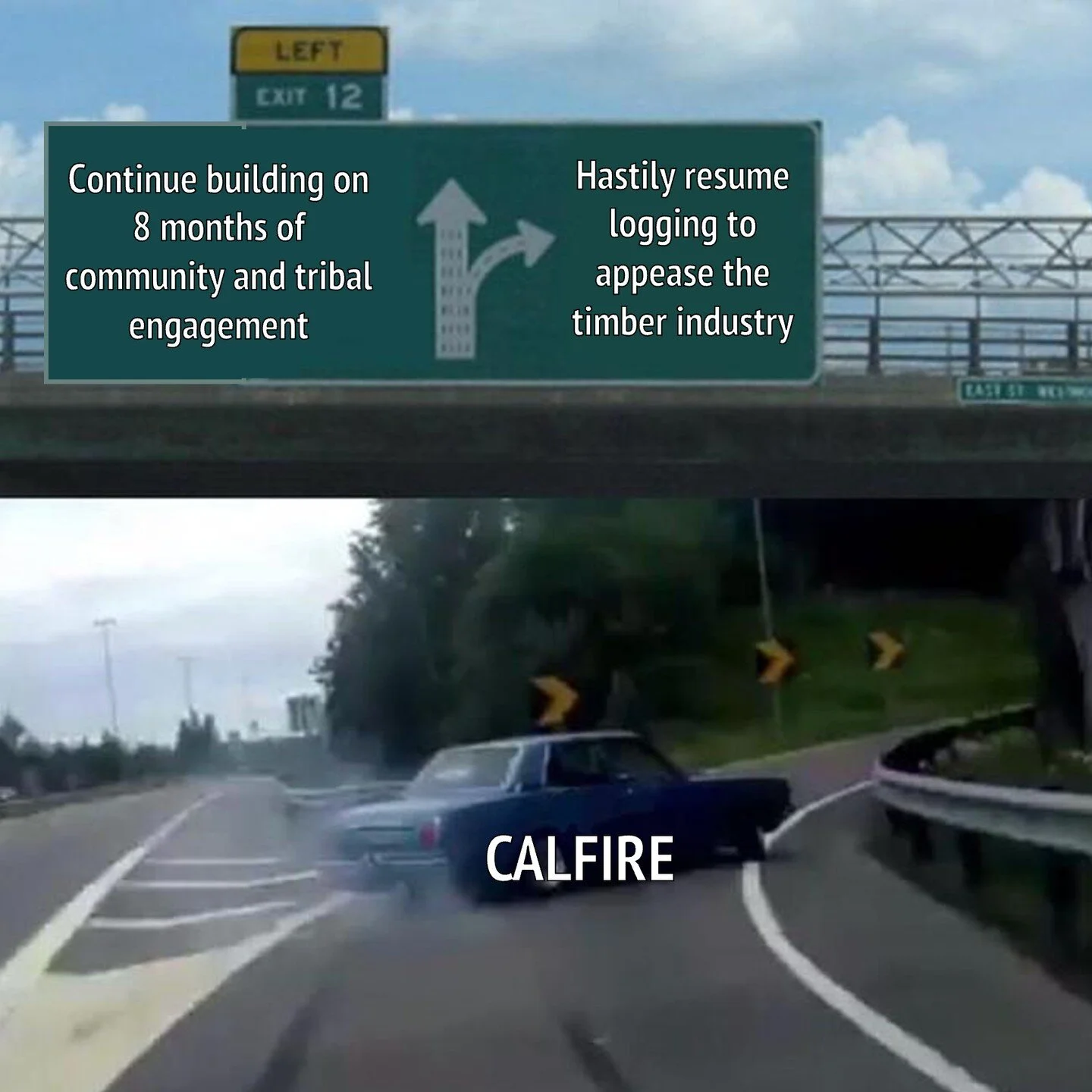 Just four days after unveiling its new "vision" for Jackson Demonstration State Forest, Cal Fire announced it will resume logging four controversial Timber Harvest Plans (THPs) that were halted by protests last year. These THPs were written