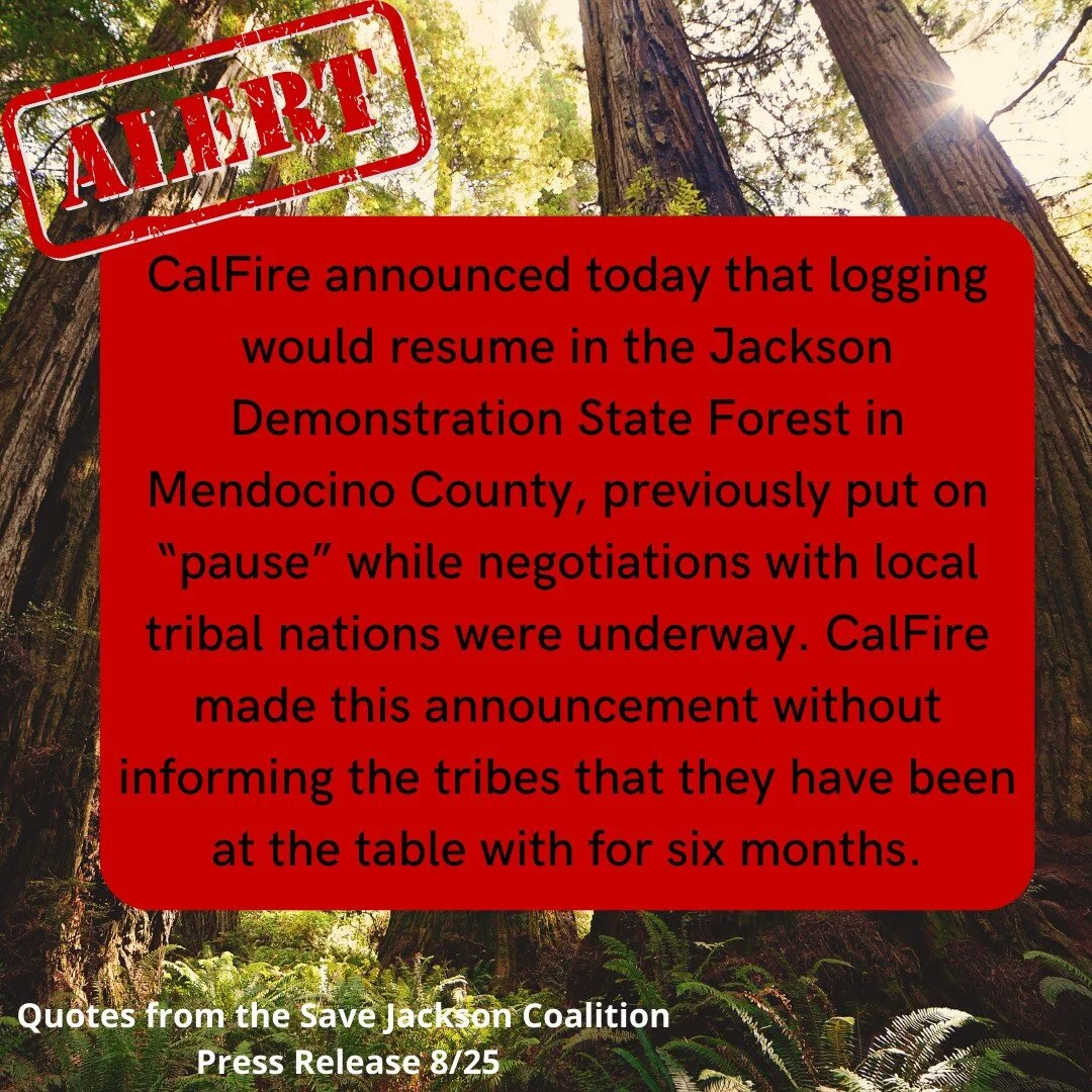 Take action here:
https://www.wildcalifornia.org/