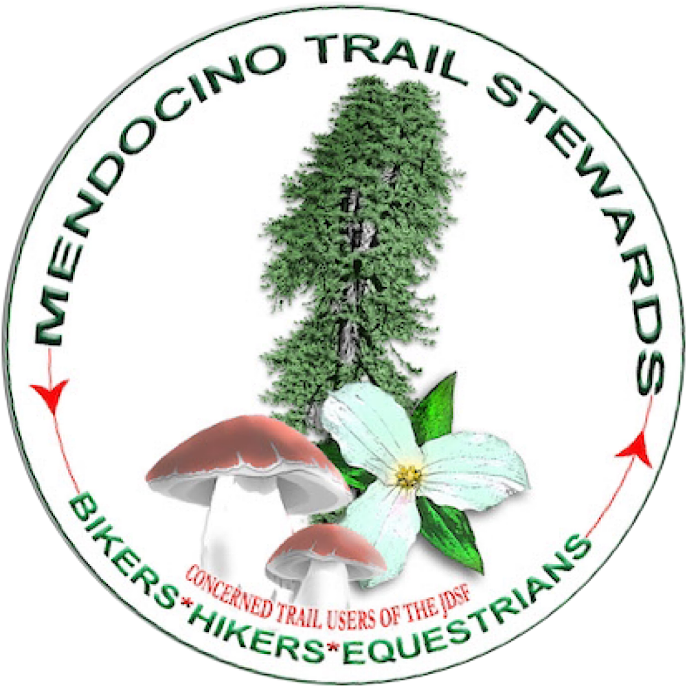 MTS Newsletter for Jackson Forest Users