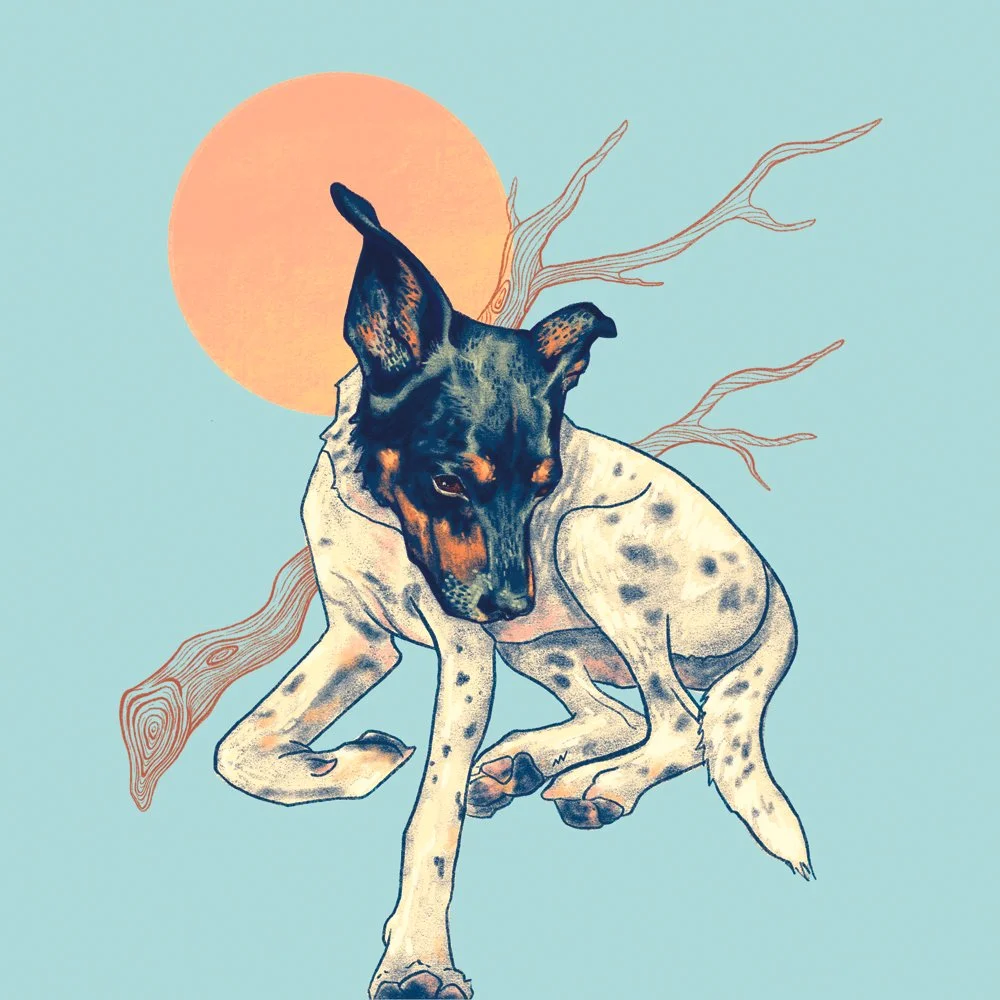 Jasper