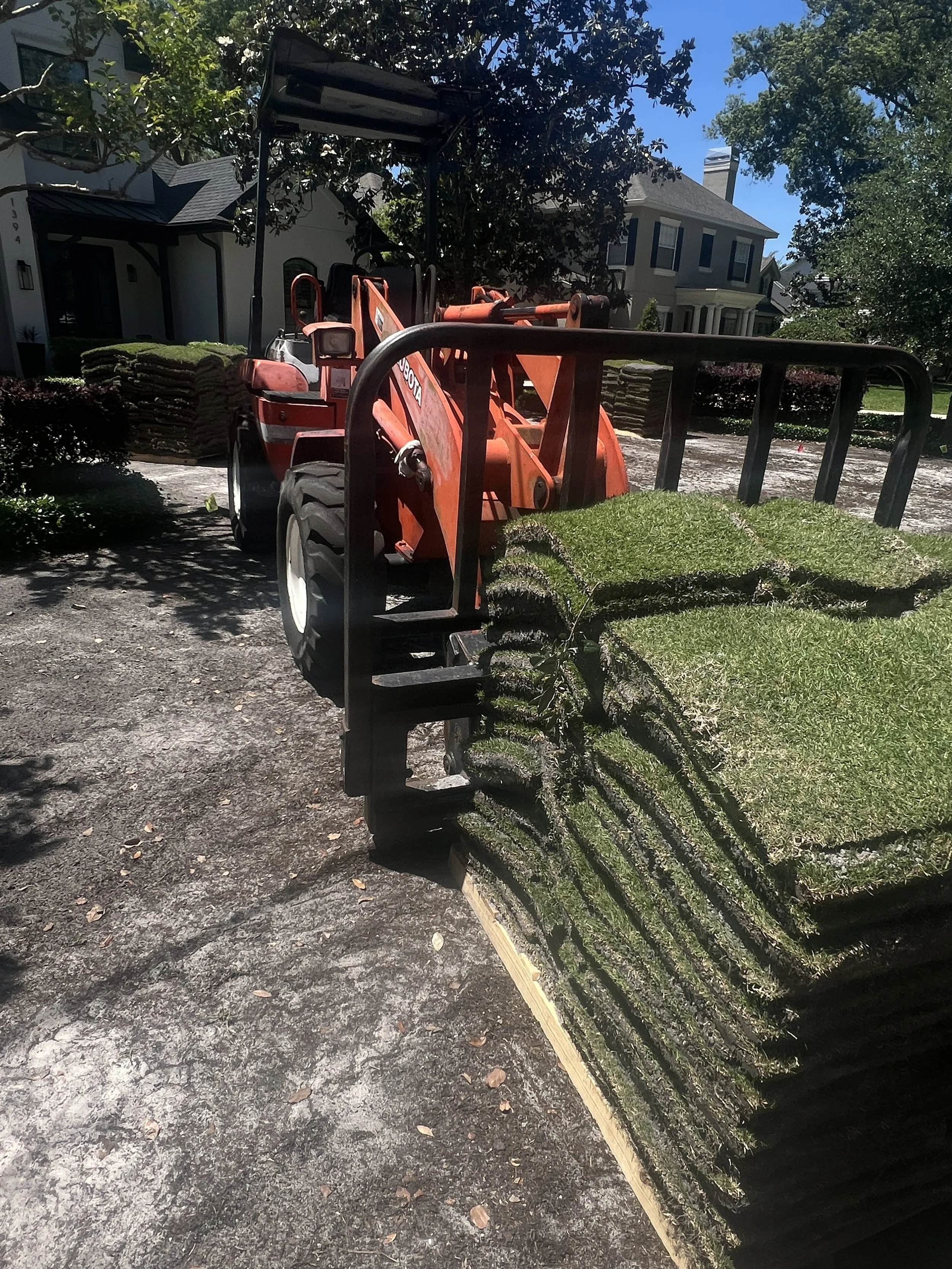 citrazoy zoysia sod installation Winter Park 32789| Michael Geist's Yard Works