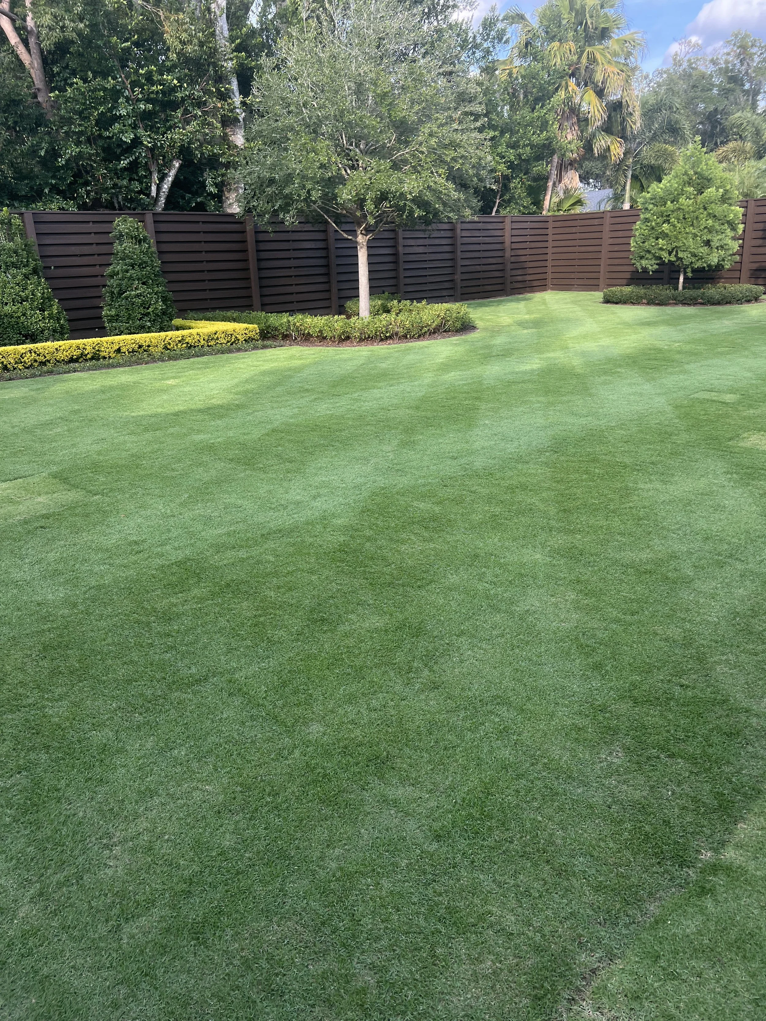 Winter Park 32789 Zoysia Lawn Expert | Michael Geist's Yard Works