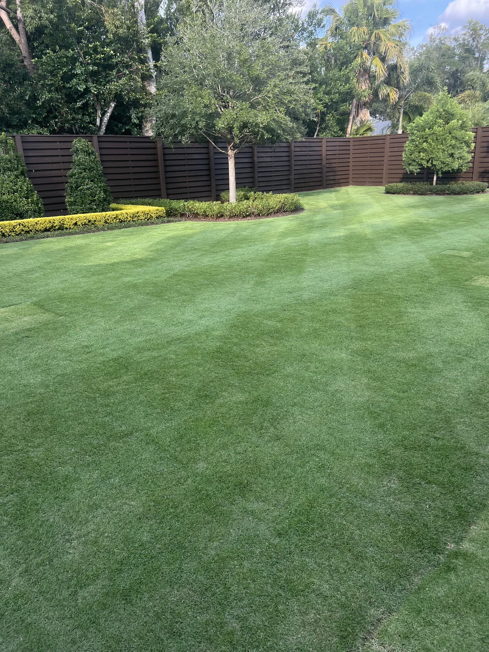 CitraZoy zoysia lawn maintained to estate standard near Sanford FL by Michael Geist's Yard Works