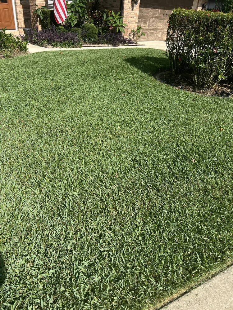 Pro Vista sod installation in Oviedo Florida 32765