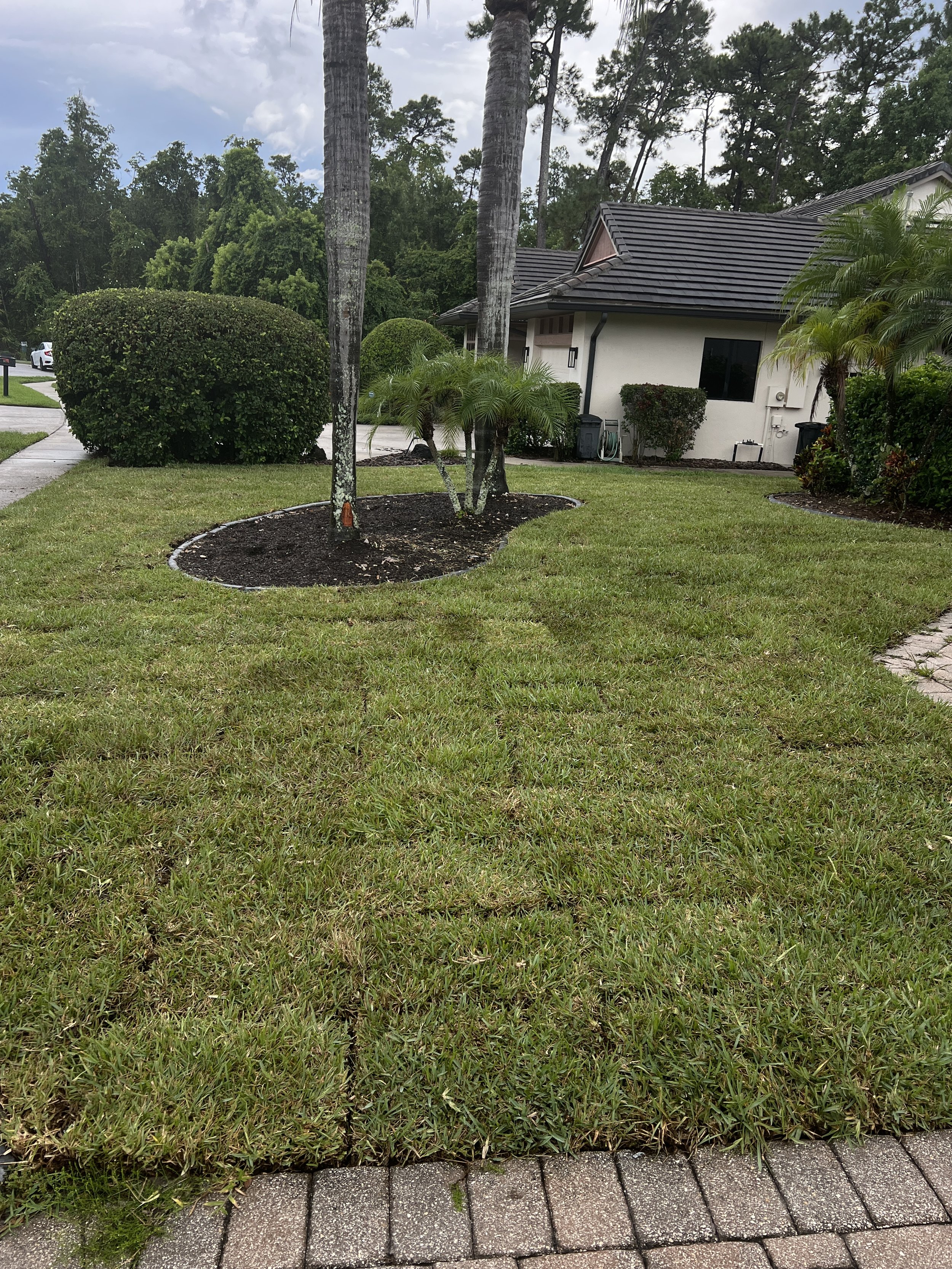 Oviedo Professional Sod Installation Service of St. Augustine Sod Installation perfromed by Michael Geist's Yard Works.   Deep green , thich , healthy Fresh from the Sod Fields Sod .  St. Augustine Pro Vista Cultivar